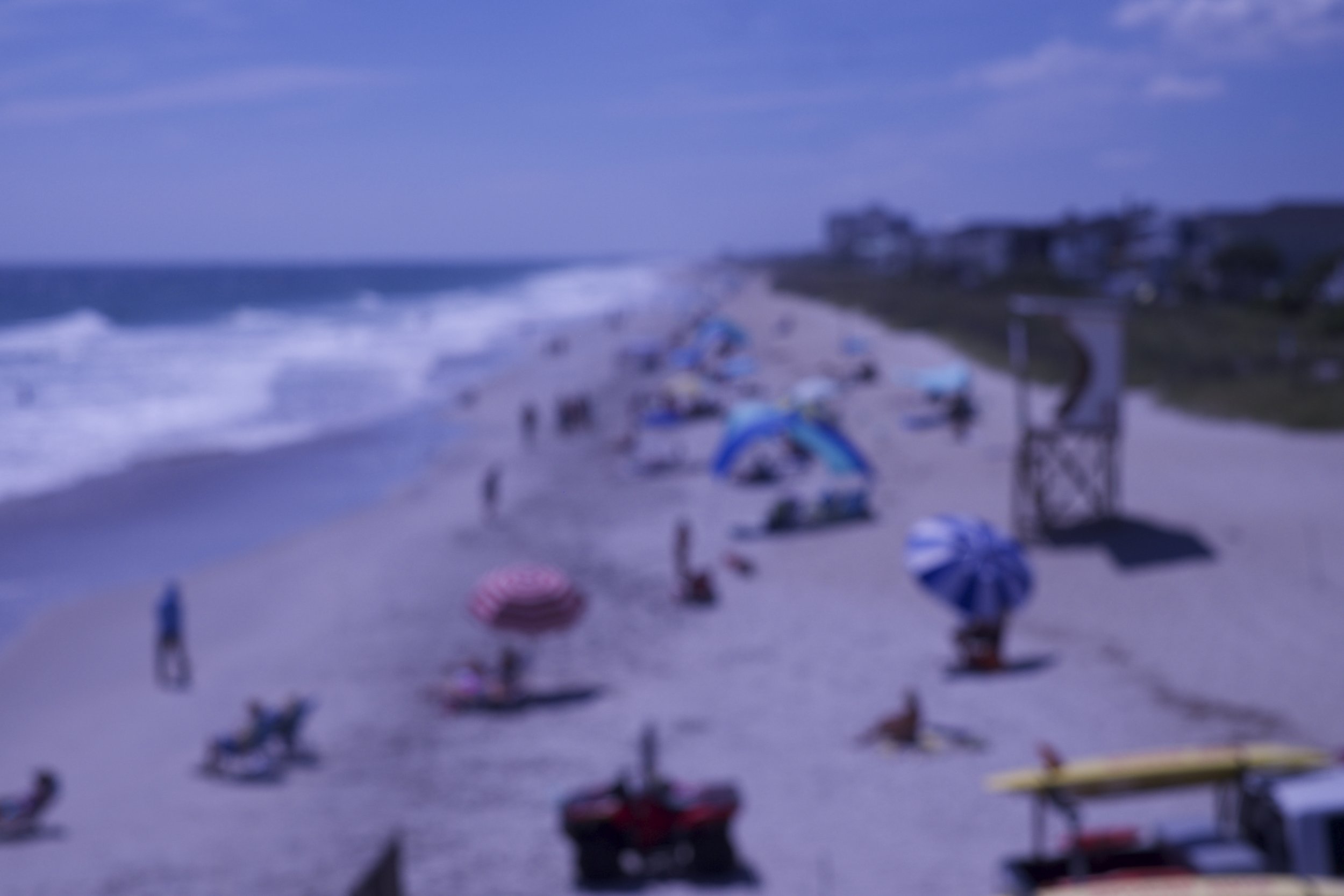 Beach Daze. 2019
