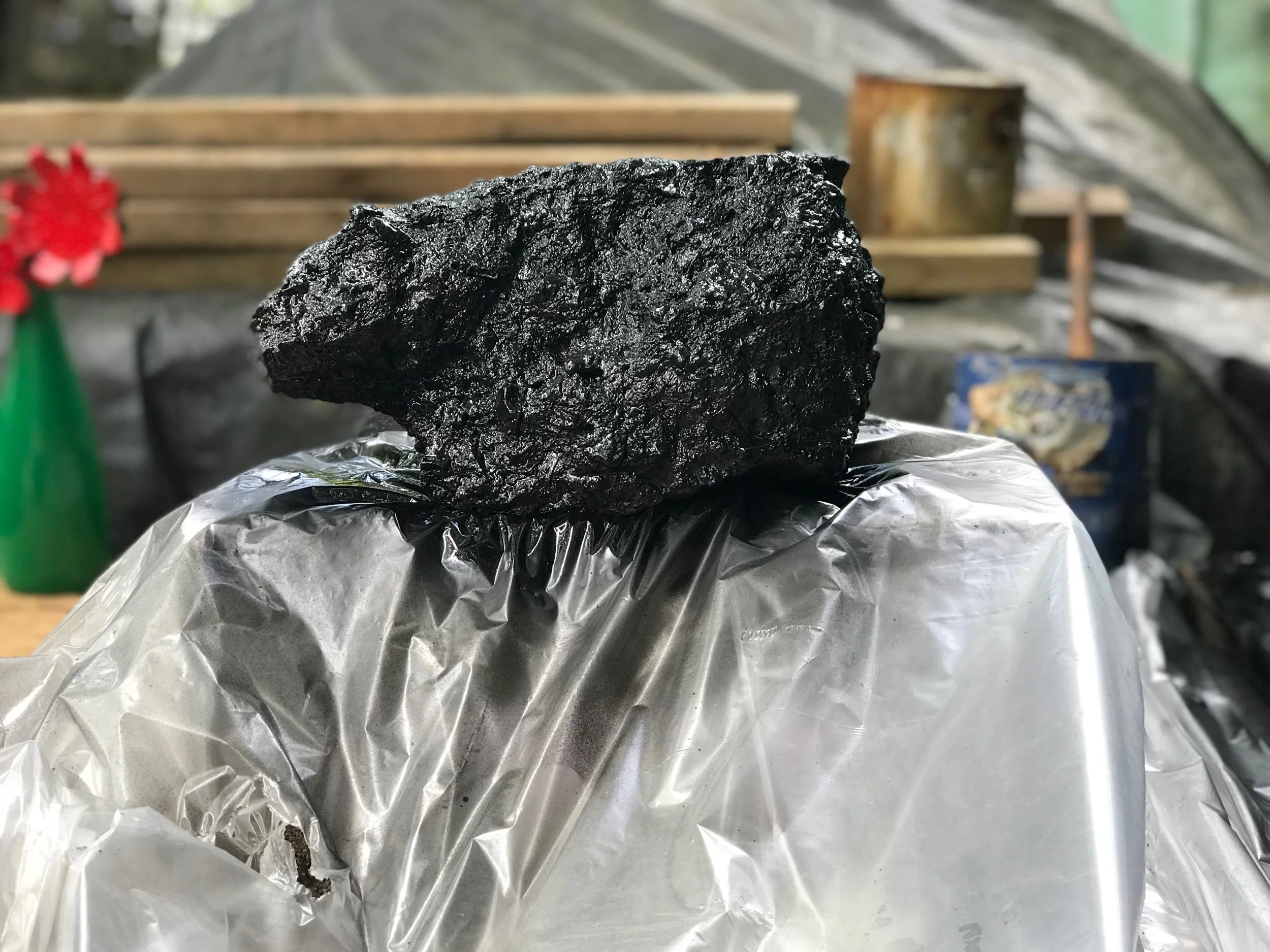 Carolina Black Bear. 2016. 6in. H . 10.5in W . 6in D