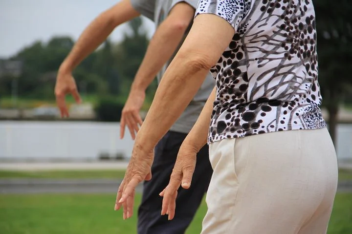 tai chi hands1.jpeg