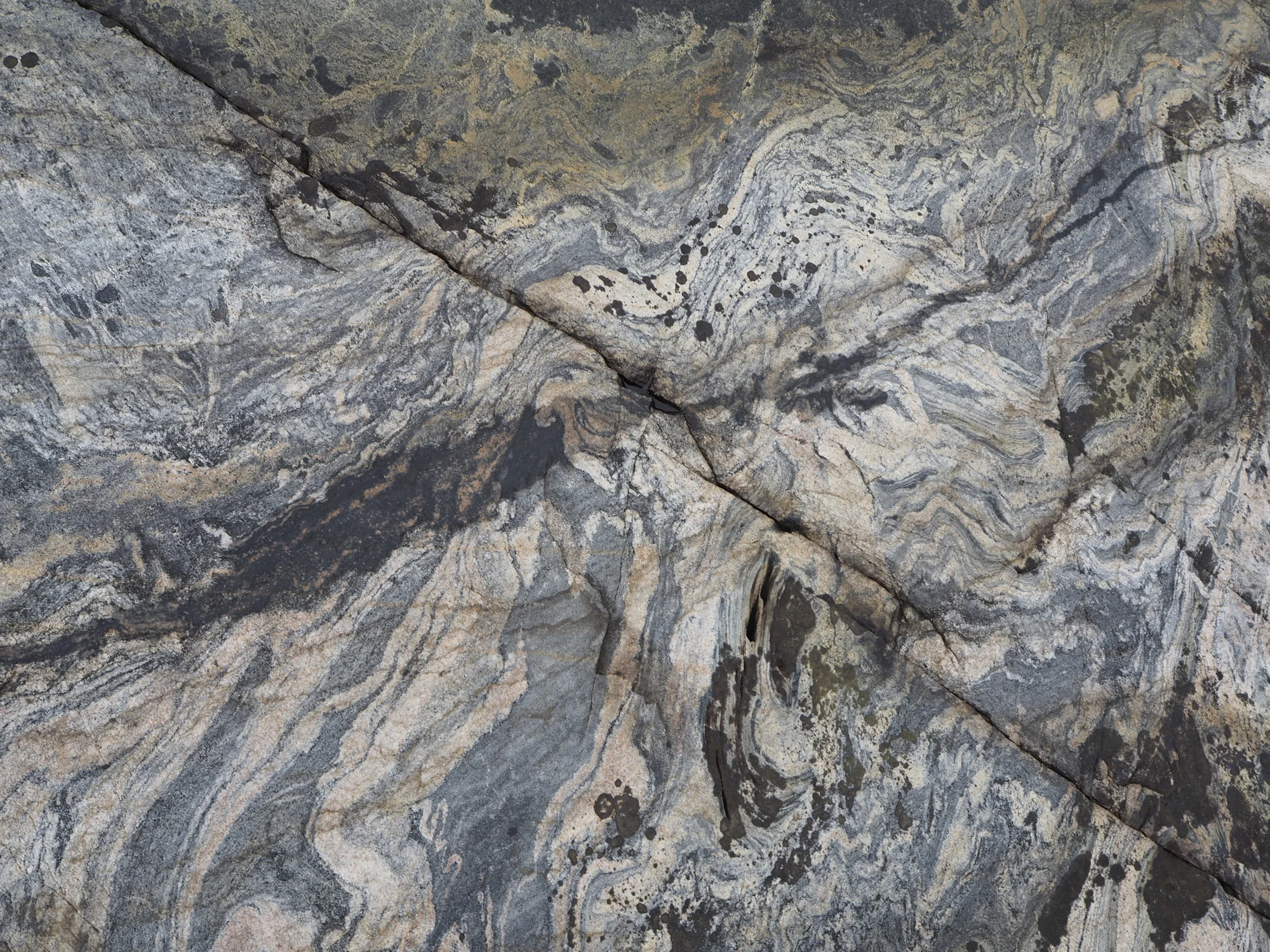 A detail from Sibylle Eimermacher, The Meandering Eye showing a close-up view of the coastal stone of Kökar