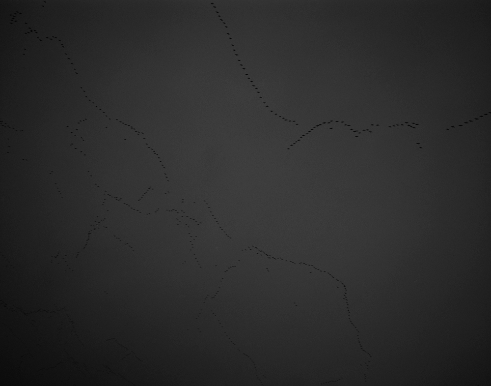Milo Newman, Skein (detail) 2014, photograph