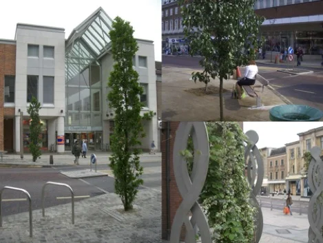 The direct benefits of trees can be equated to millions of pounds worth of savings to health budgets, pollution control and carbon management schemes. A heritage-led regeneration study for Norwich by the New Economics Foundation found that an investment in tree planting of £500,000 would lead to an economic benefit of £17 million, a ratio of 1:34.