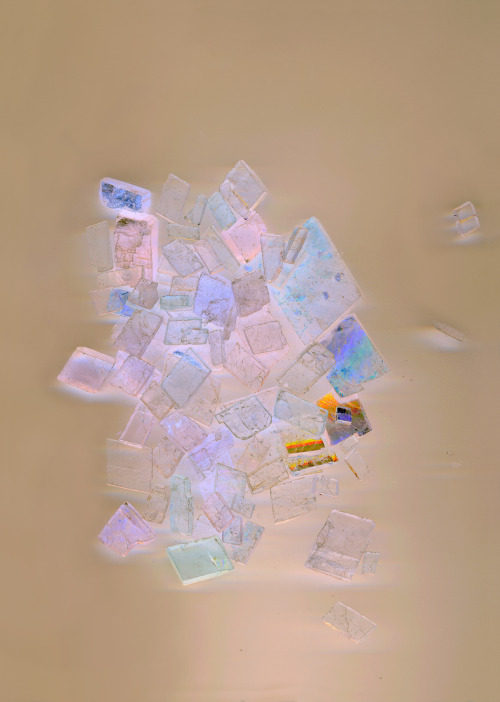 Solsten by Jessica Rayner, one of a series of 3 light-box installations