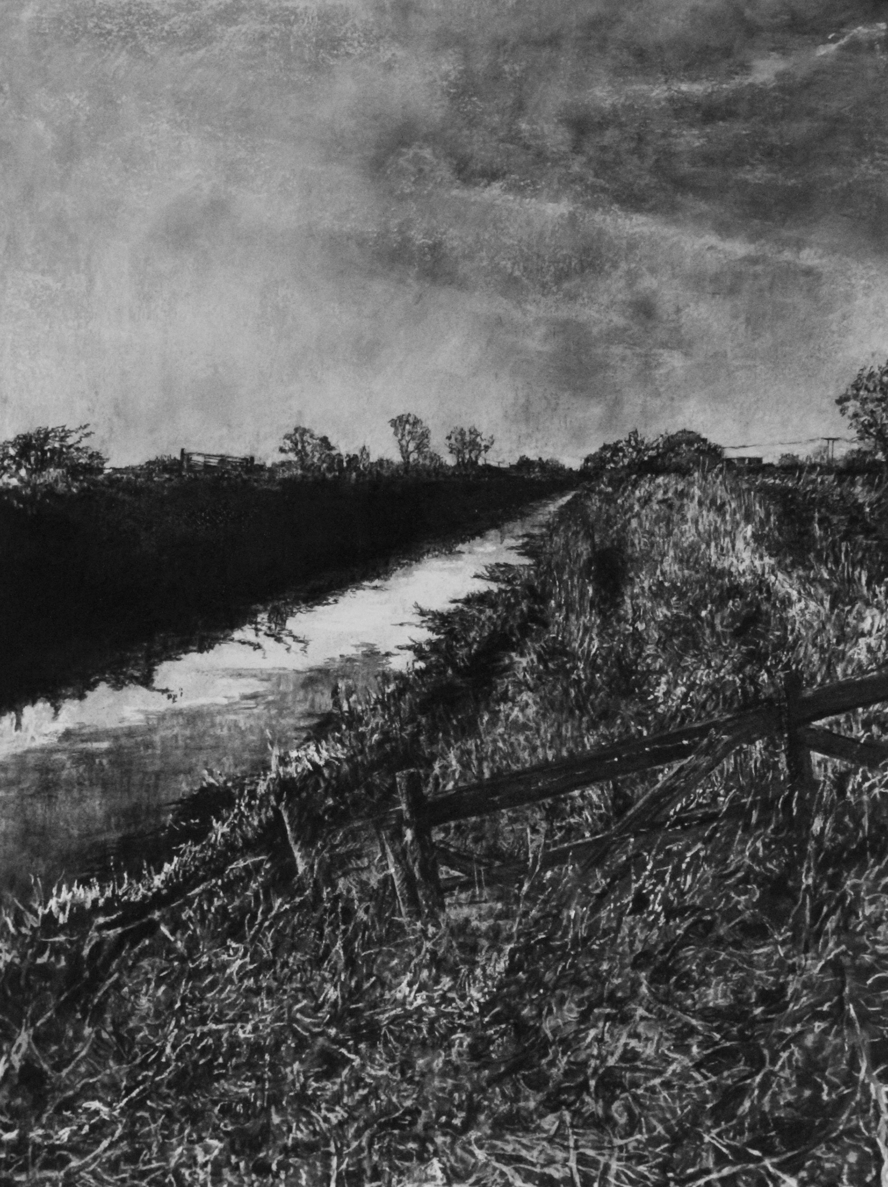Judith Tucker, Towpath, 2017, Charcoal, varnish and white pigment on arches paper. 76 x 56 cm