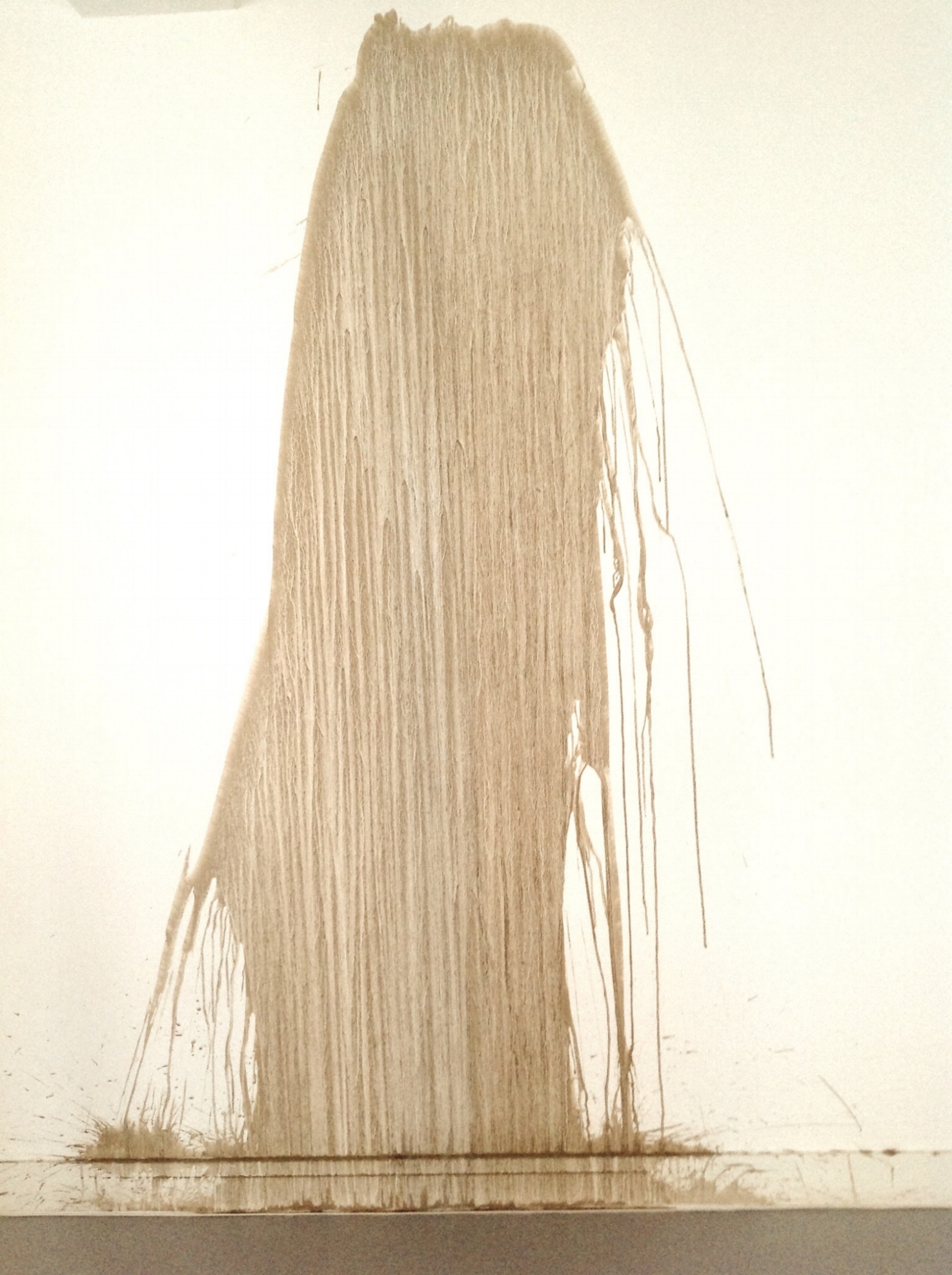 Richard Long. Great Ouse Mud Drawing 2016.jpg