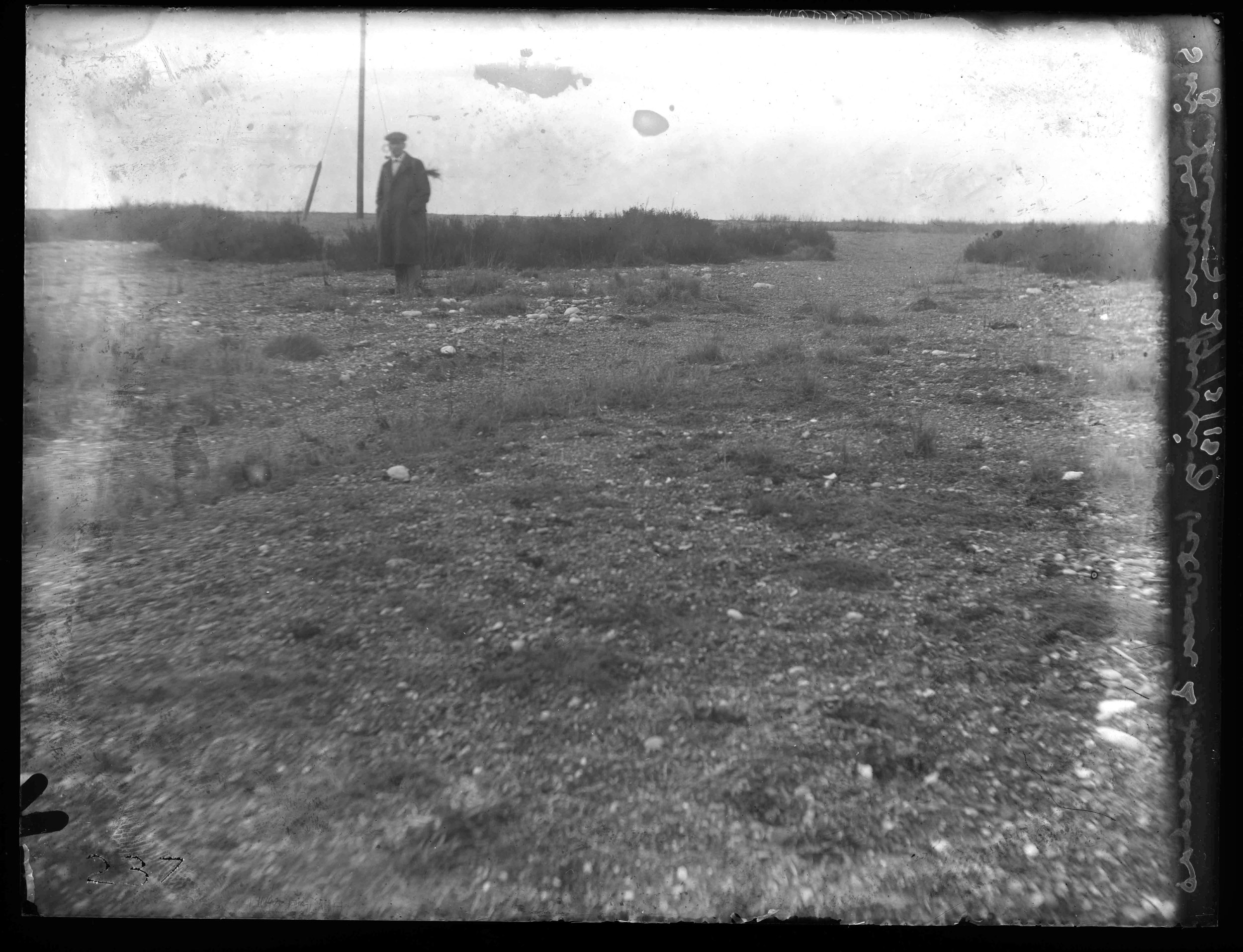 Sir Edward James Salisbury, Shingle Mobility between Suaeda bushes (on Blakeney Marshes), early 20th century.