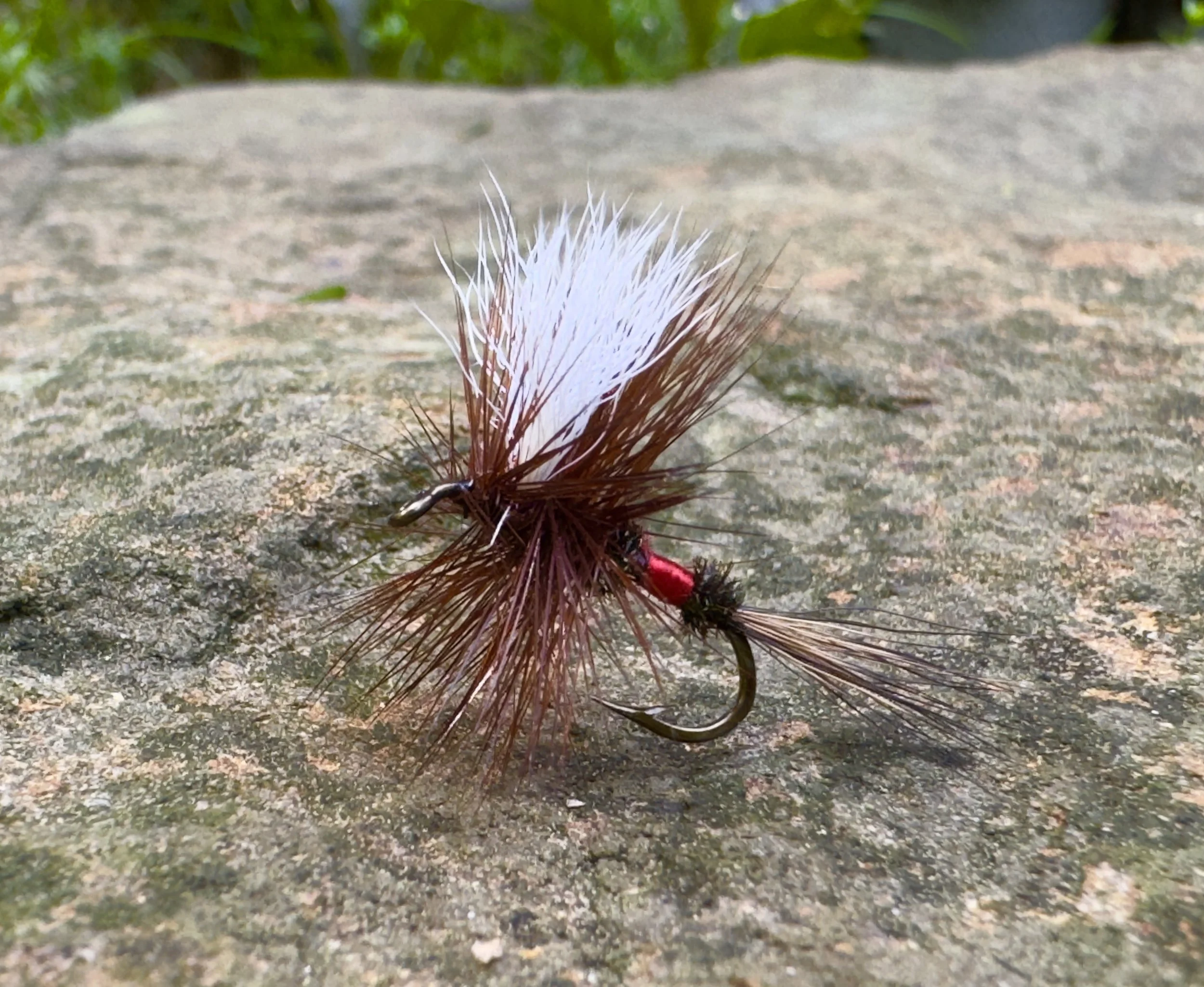 Saturday Fly Tying