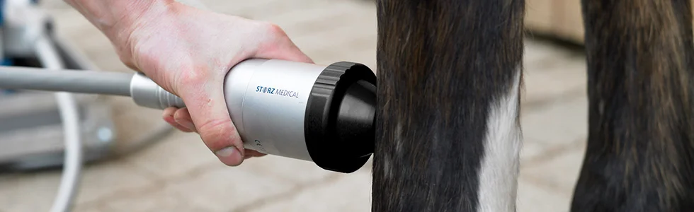 banner_veterinary_002.jpg