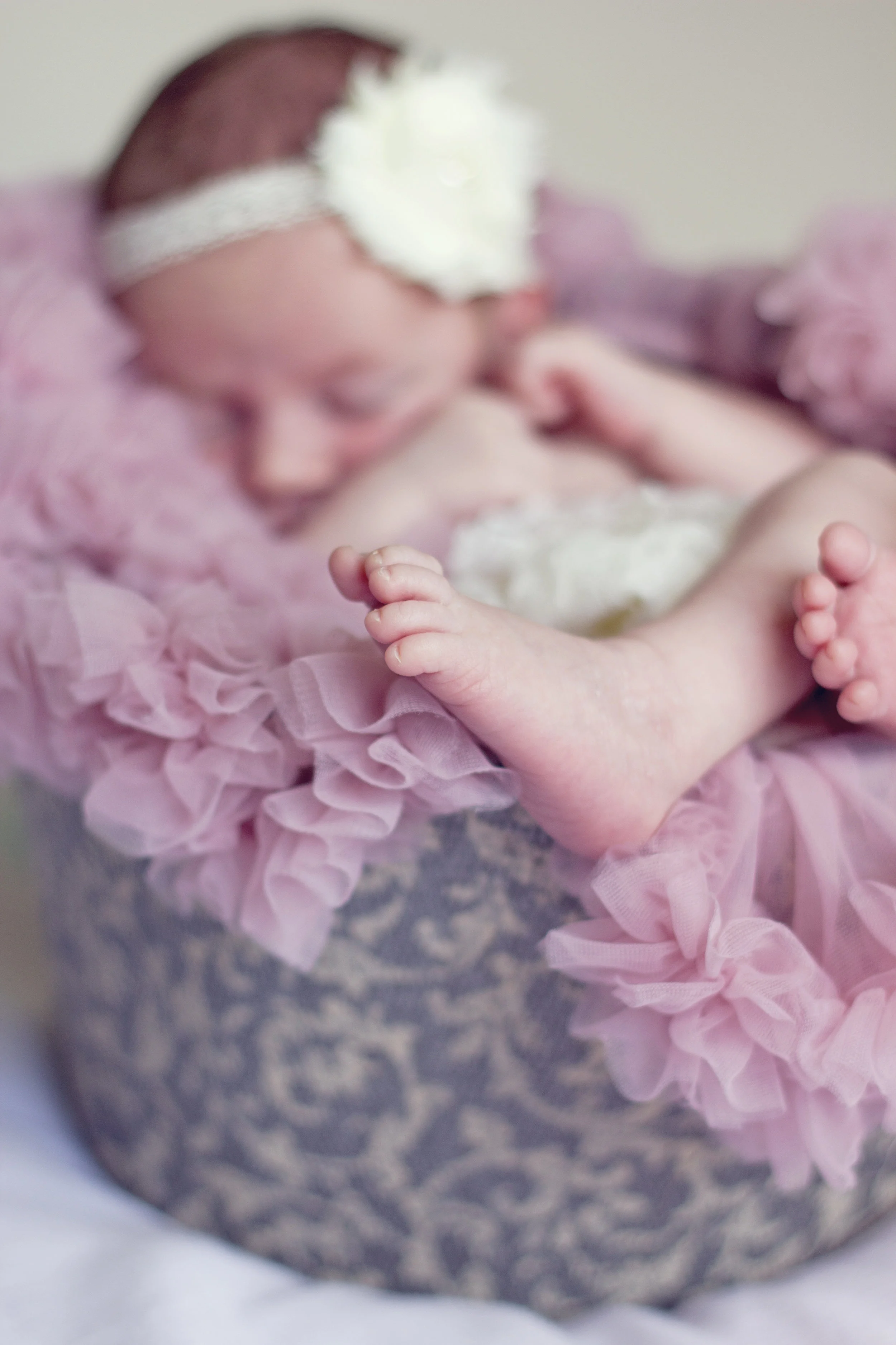 summer_newborn-135.jpg