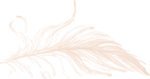 BH_Feather2_Select_Coral.png