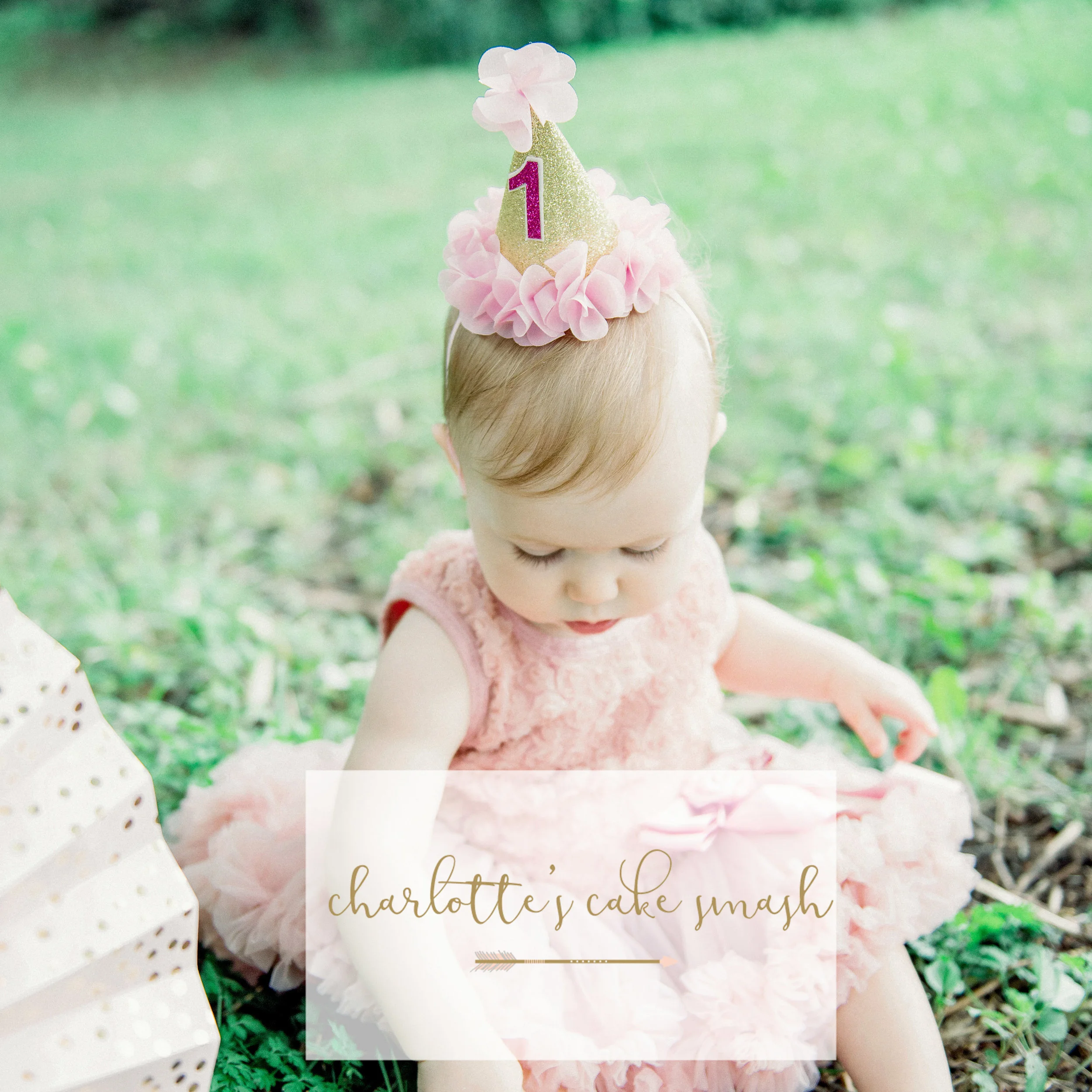 Charlotte's Cake Smash