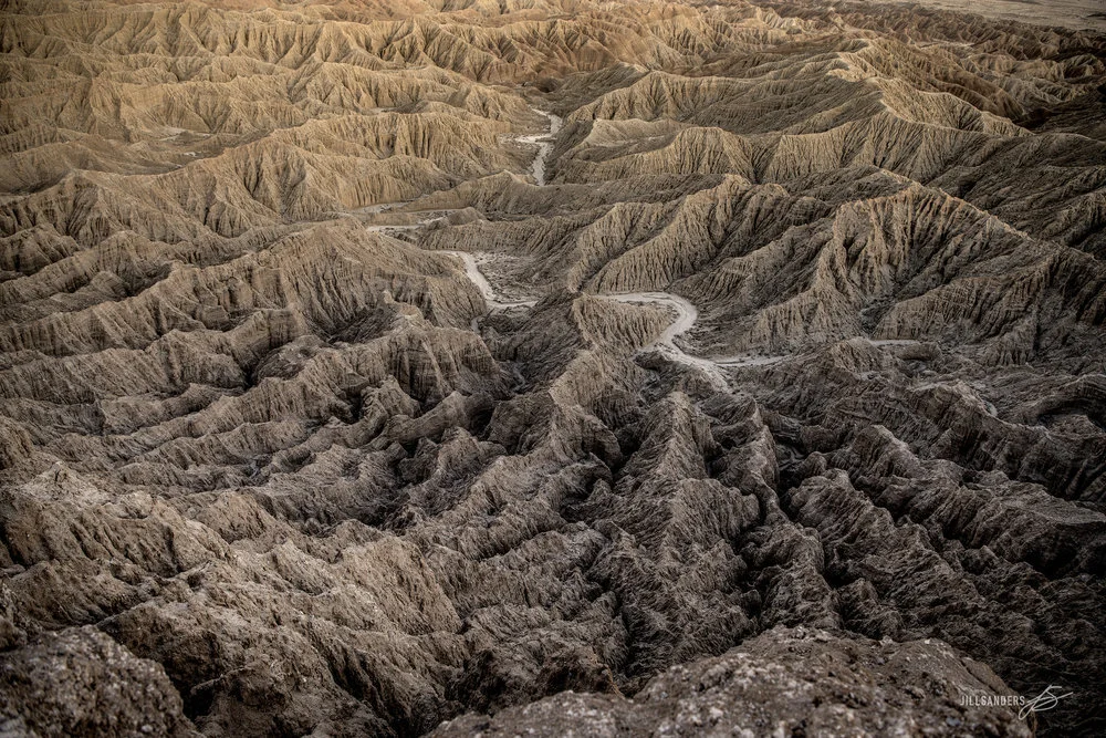 Borrego JS.jpg