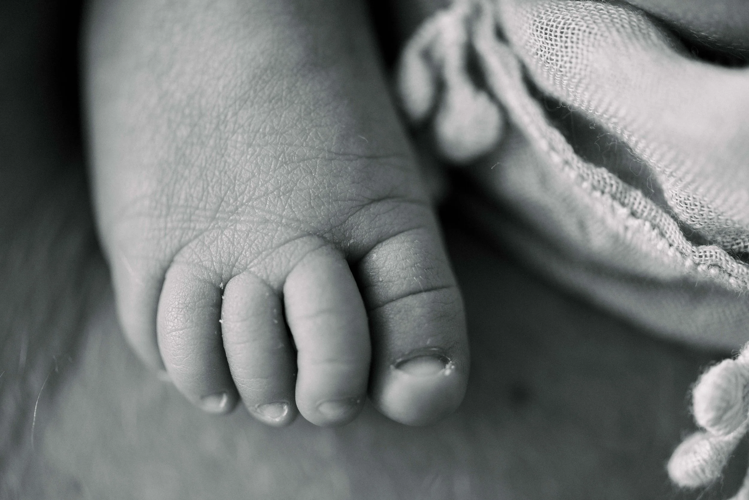newborn_family.jpg