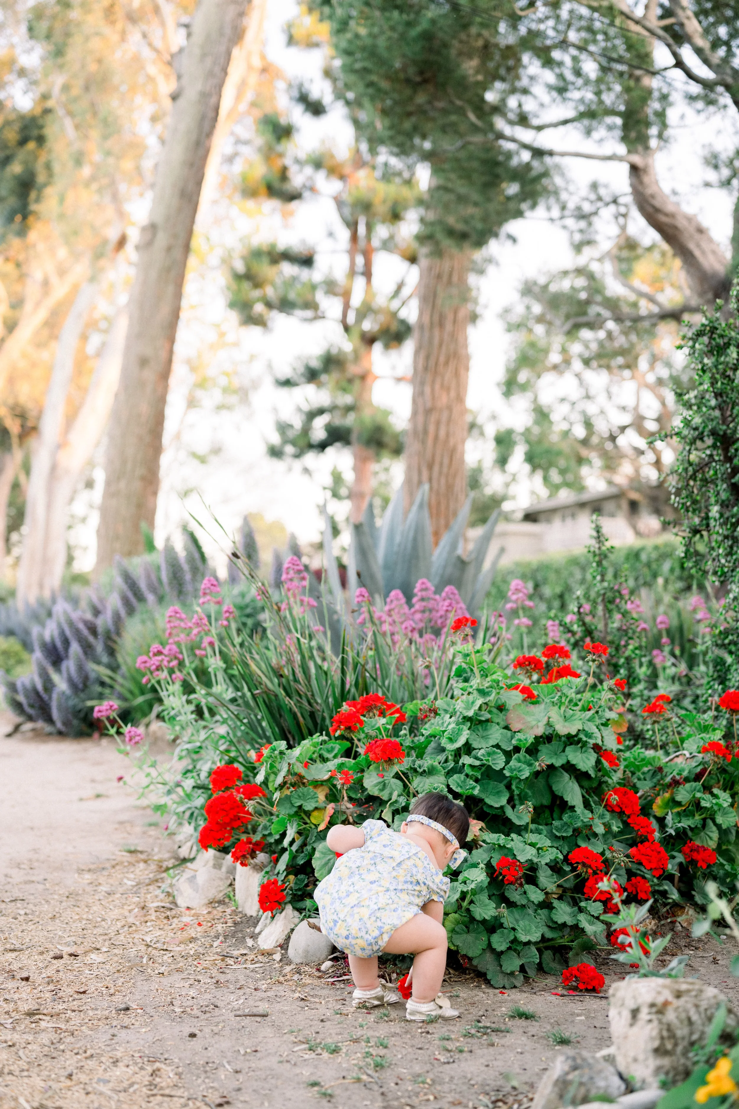 Secret Garden