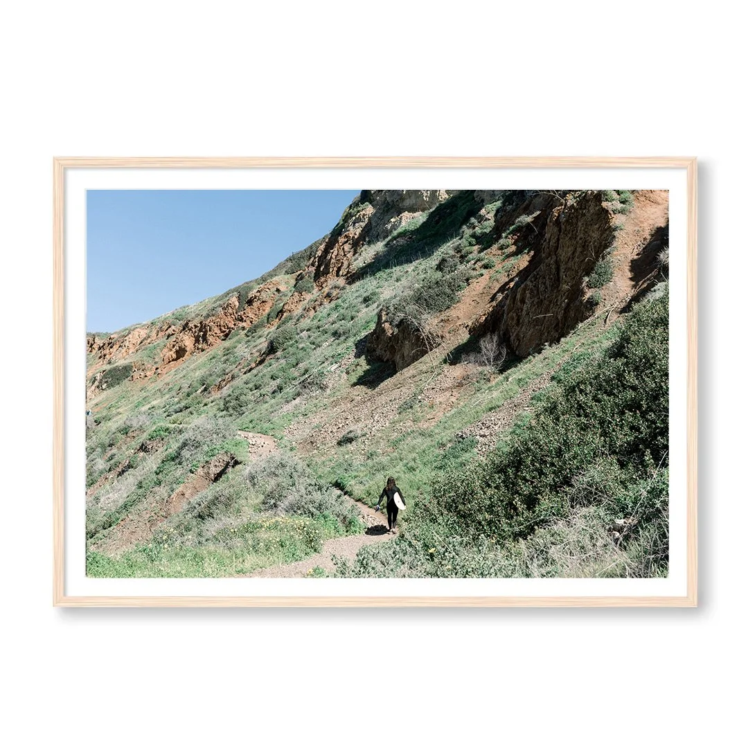 Mountain Surfer