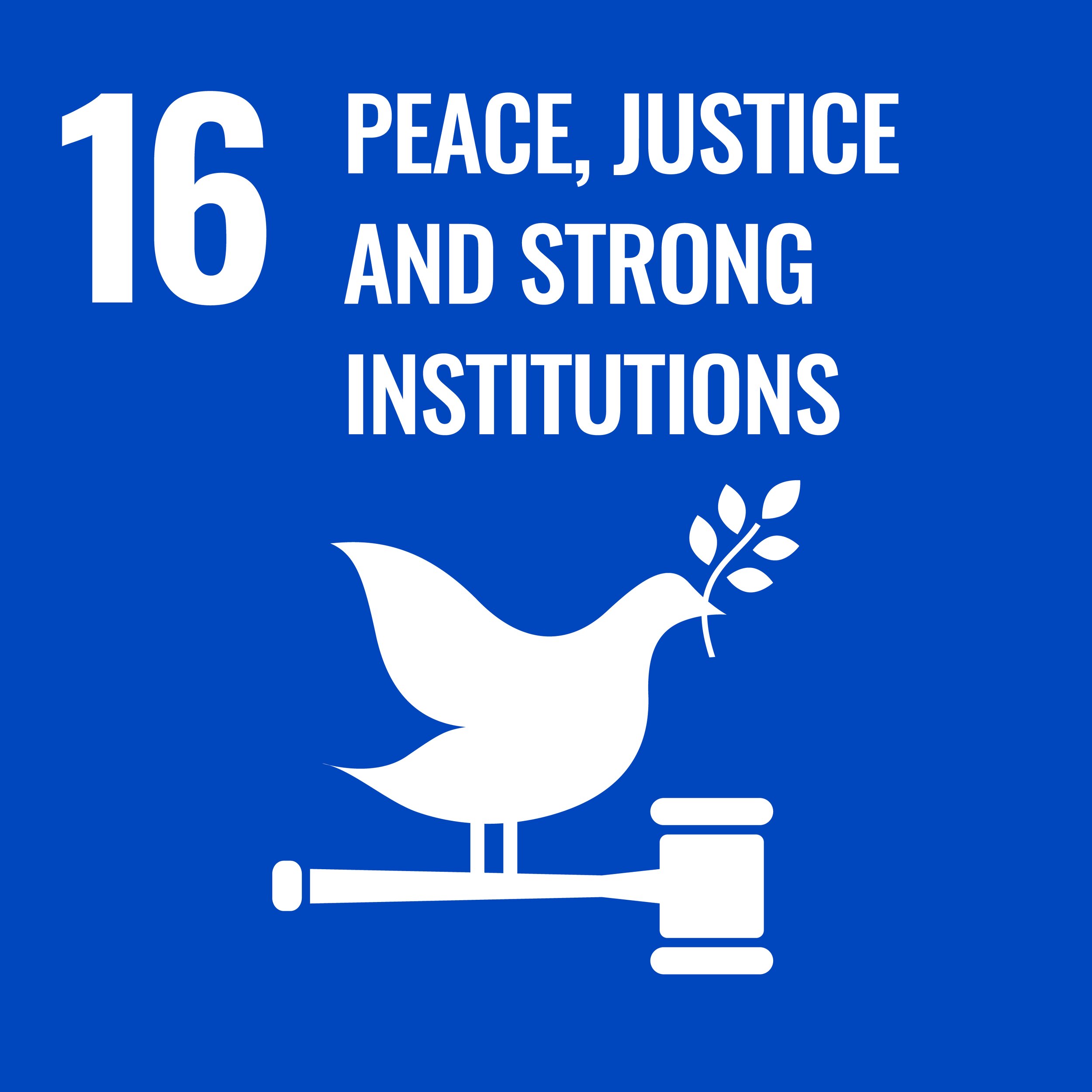 SDG #16