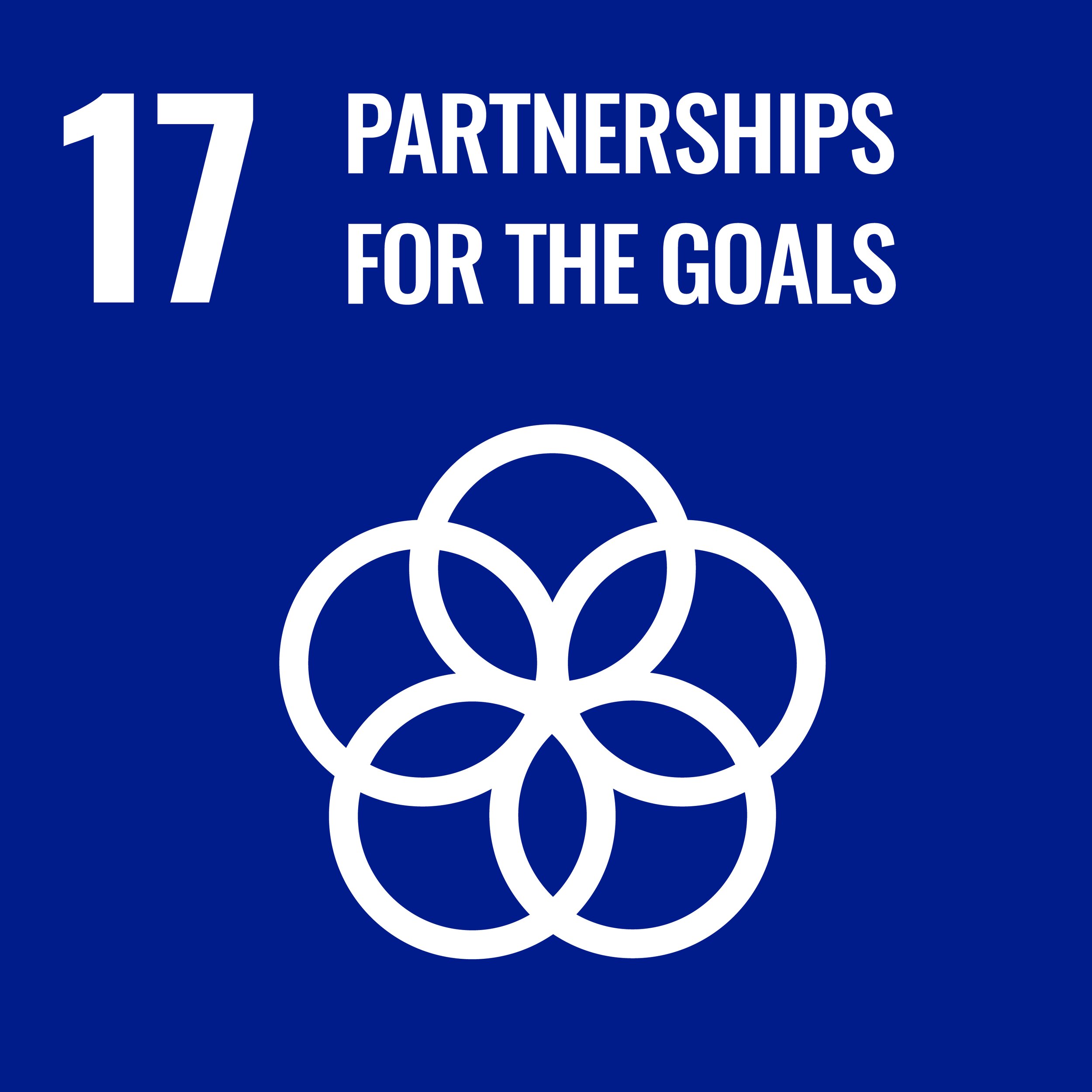 SDG #17