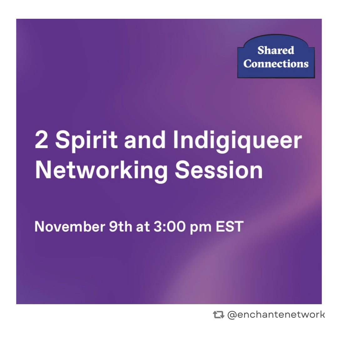 November 2 | 2 Spirit and Indigiqueer Networking Session 