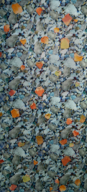 Collector - Meredith Hoffman