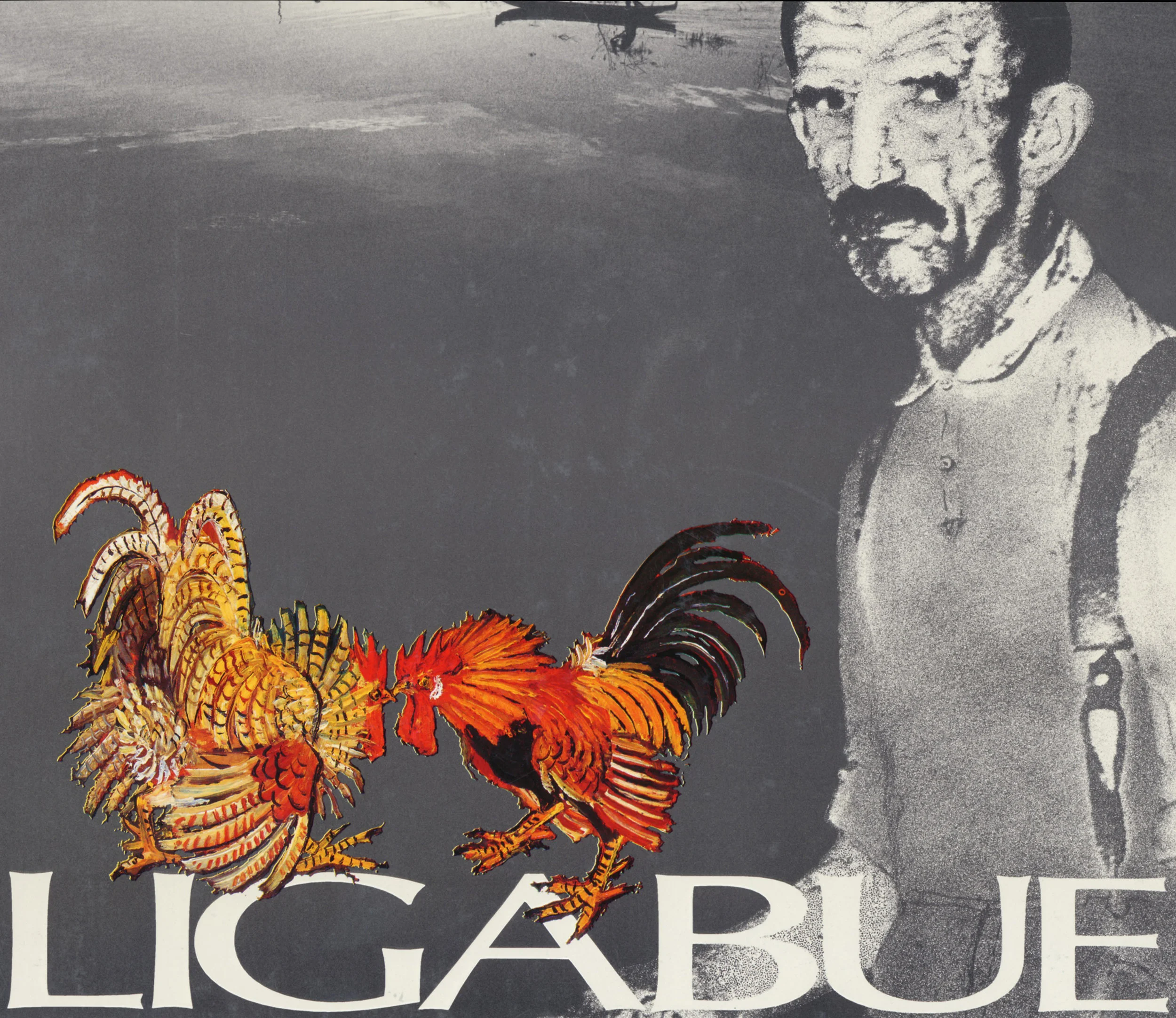 Franco Solmi, Giancarlo Vigorelli, Marzio Dall’Acqua, Marilena Pasquali, Ligabue , catalogo della mostra antologica, Sirmione (BS), vecchia sede comunale, 29 marzo – 28 settembre 1986, Augusto Agosta Tota Editore, Parma, 1986.
