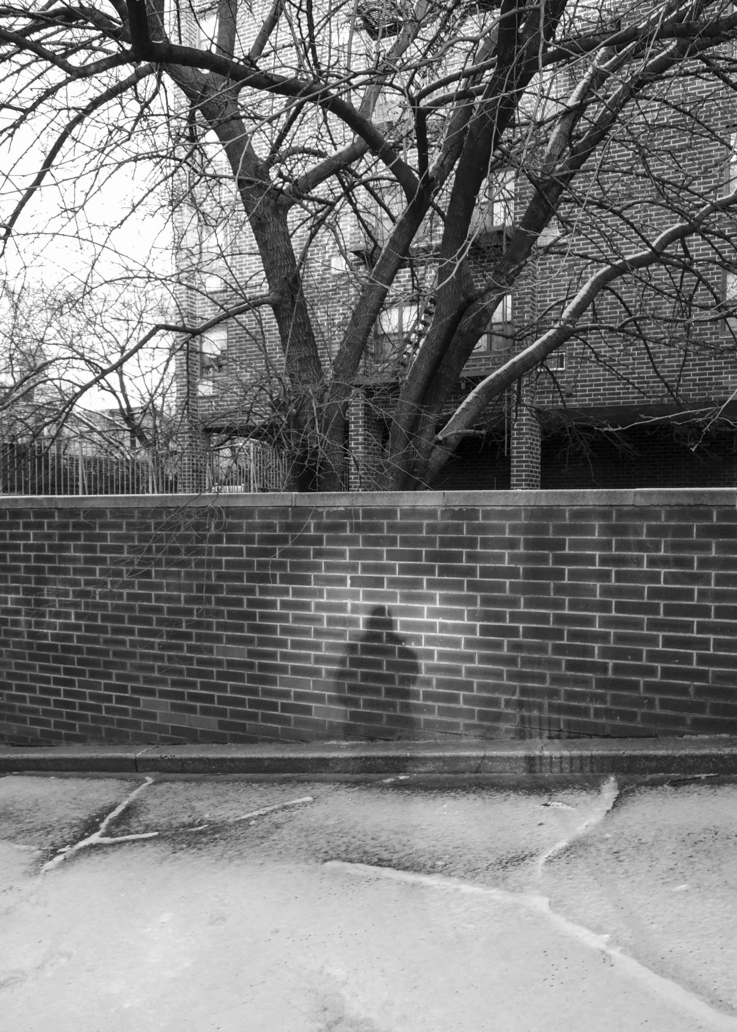 DSCN0124.jpg