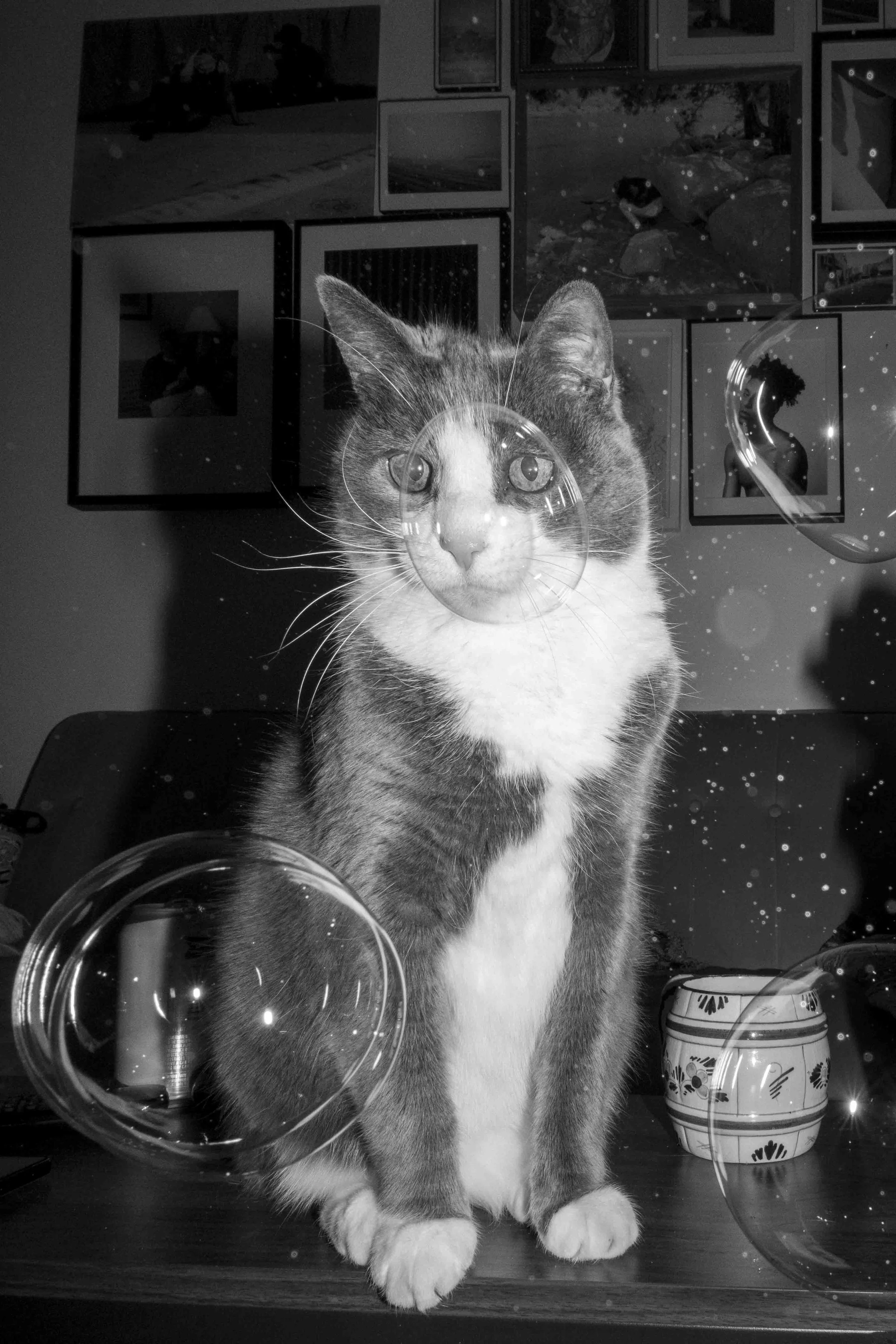 DSCF0925.jpg