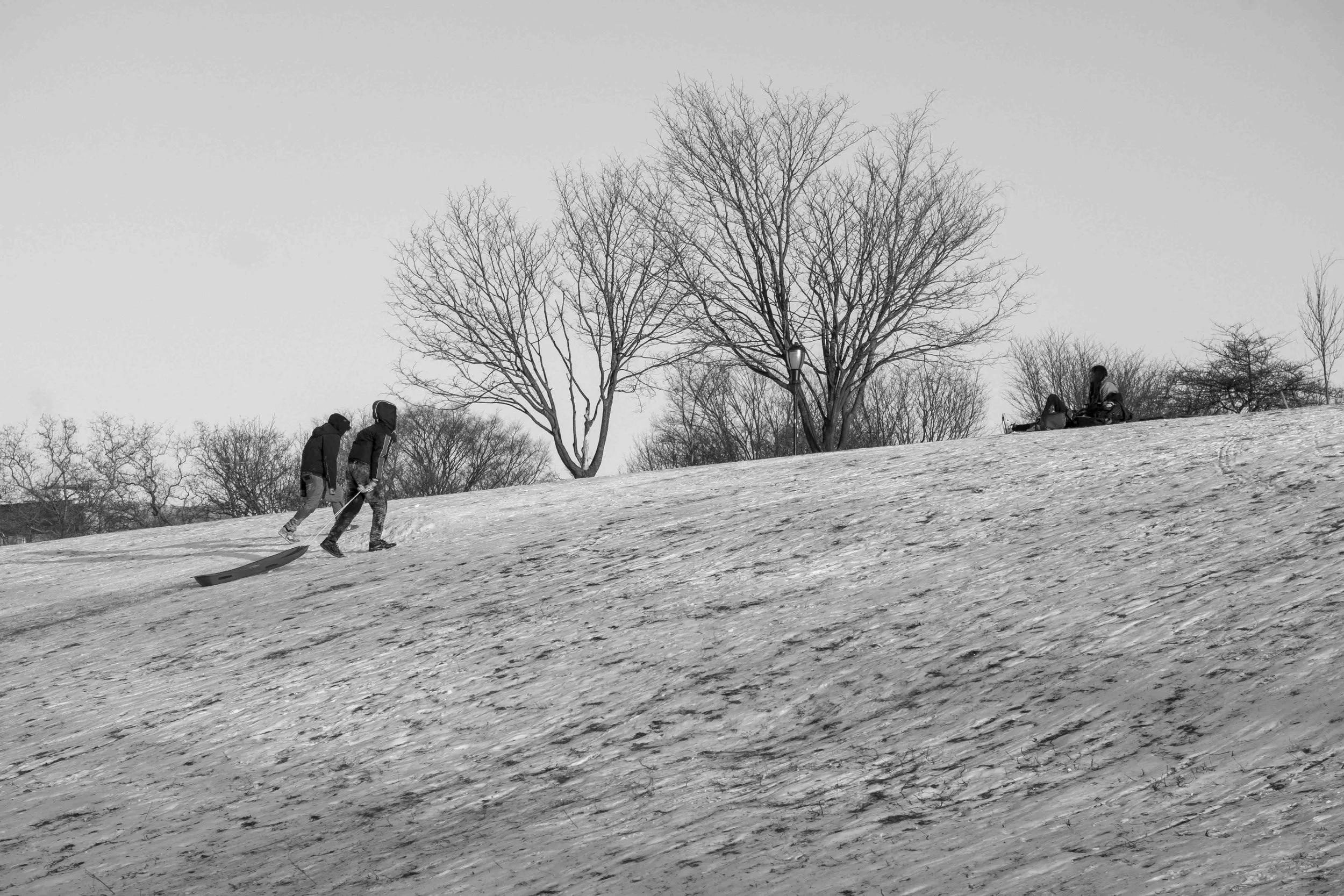 DSCF6726.jpg