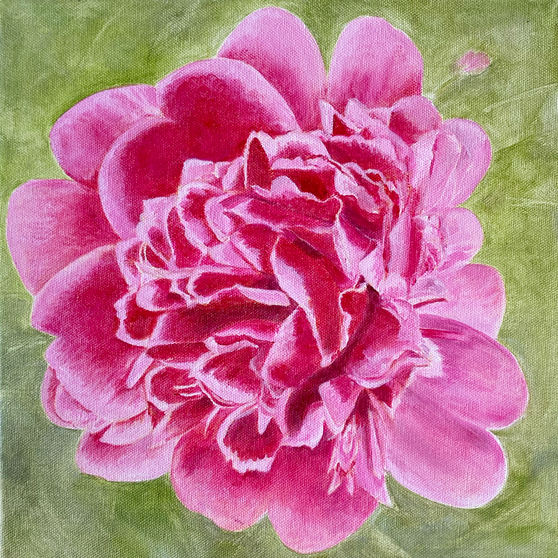 pink_peony_oil_Courtney_Cauldwell.png