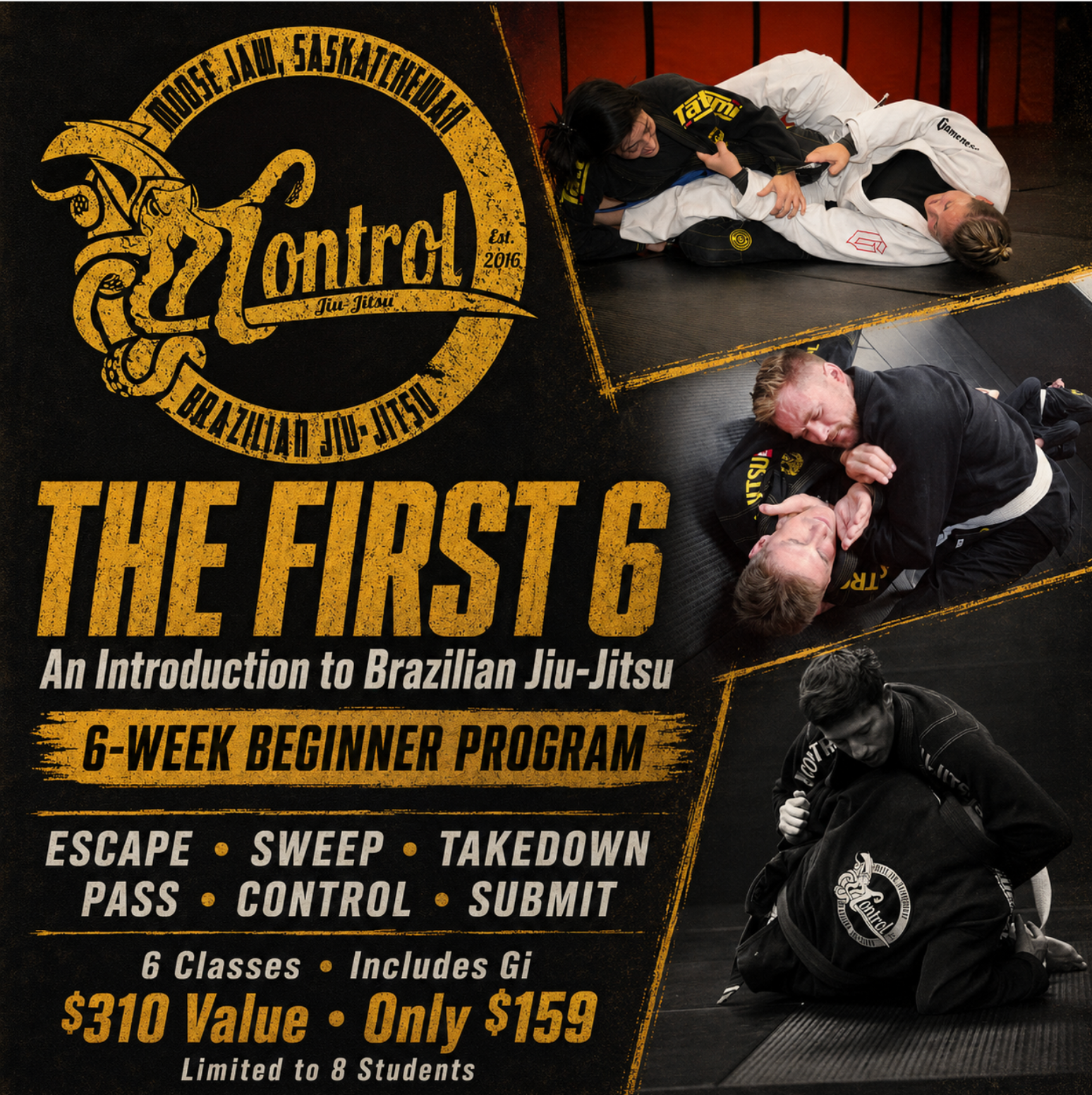 The first 6 week beginner program for brazilian jiu jitsu