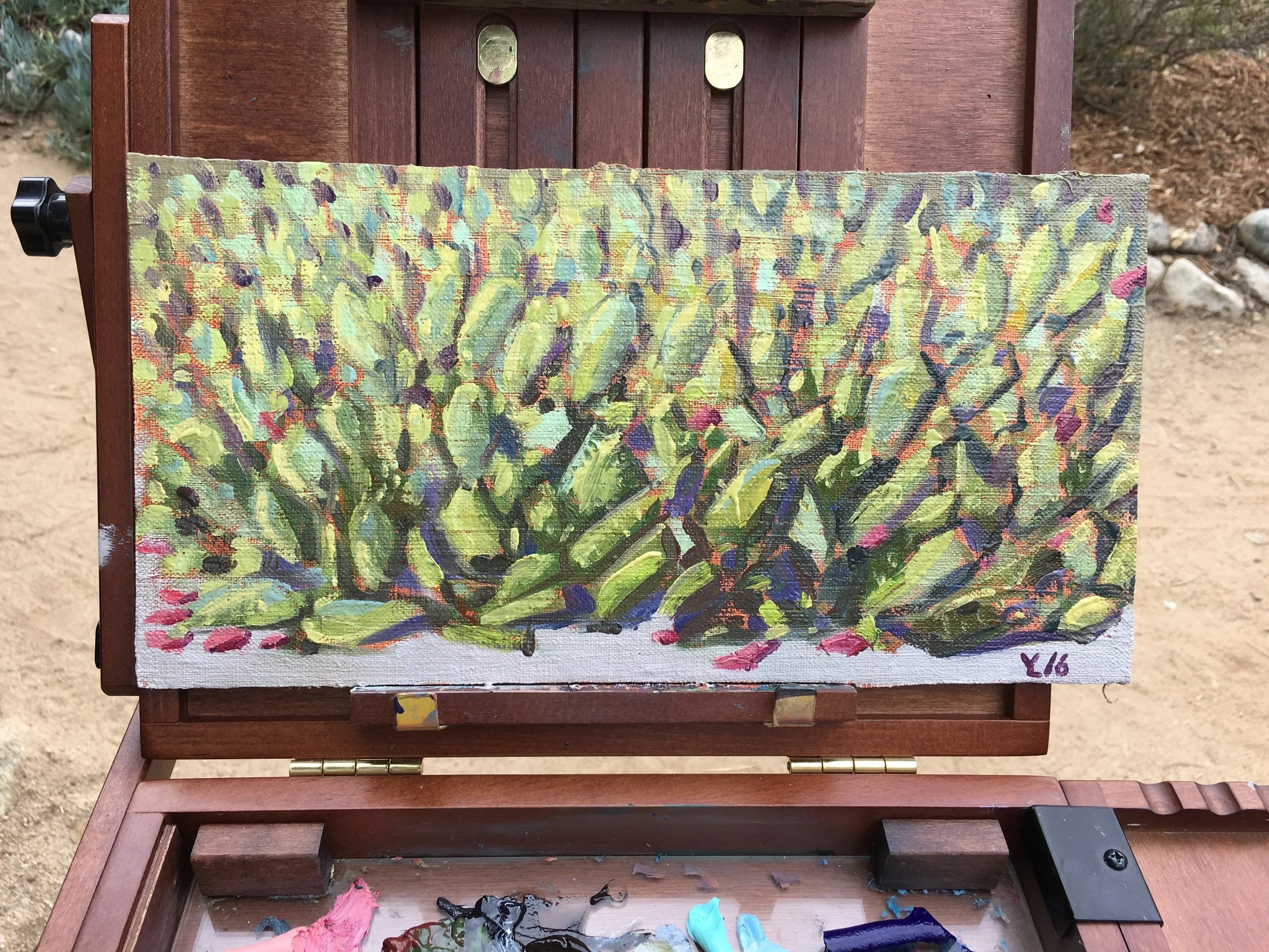 Cacti