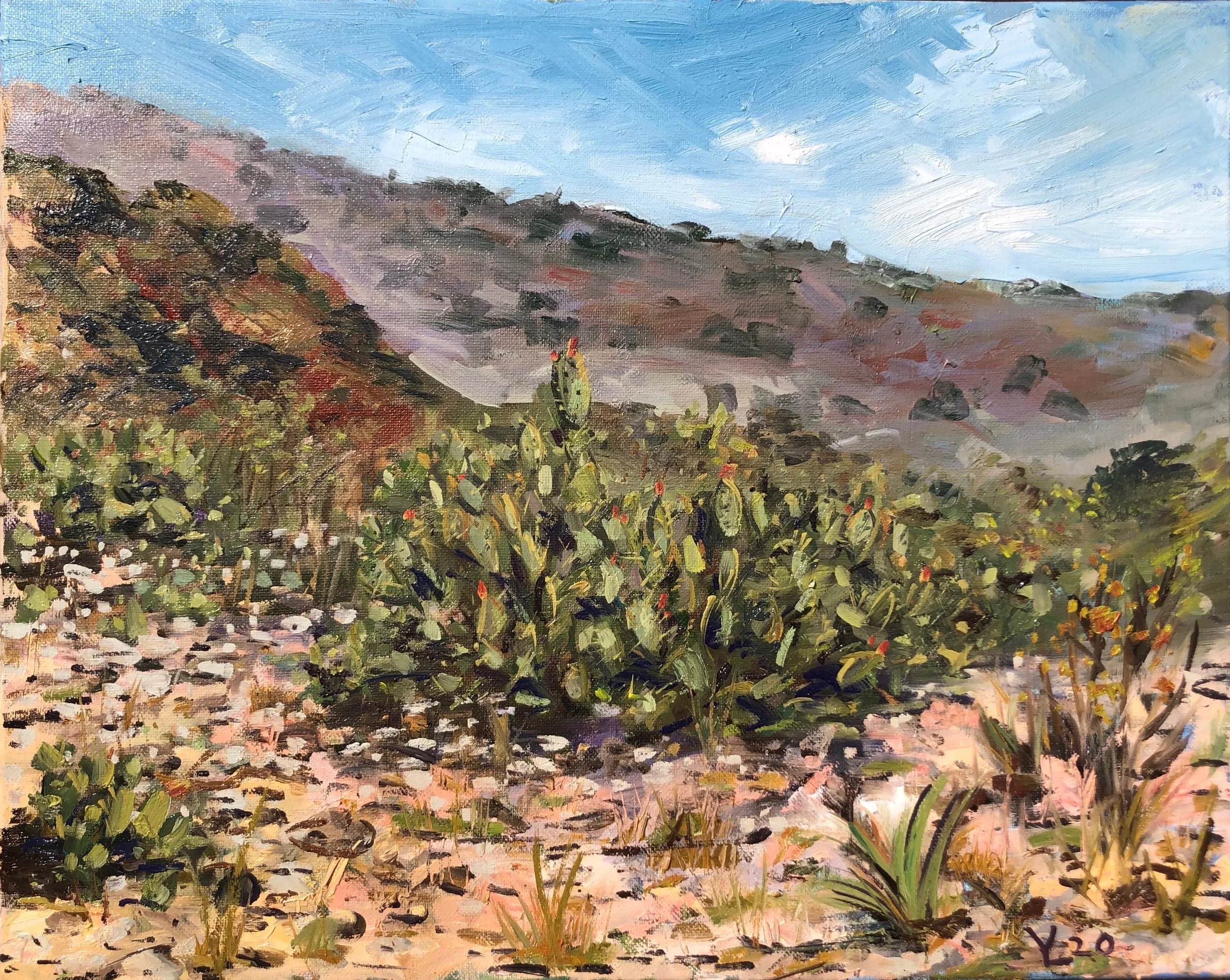Cacti