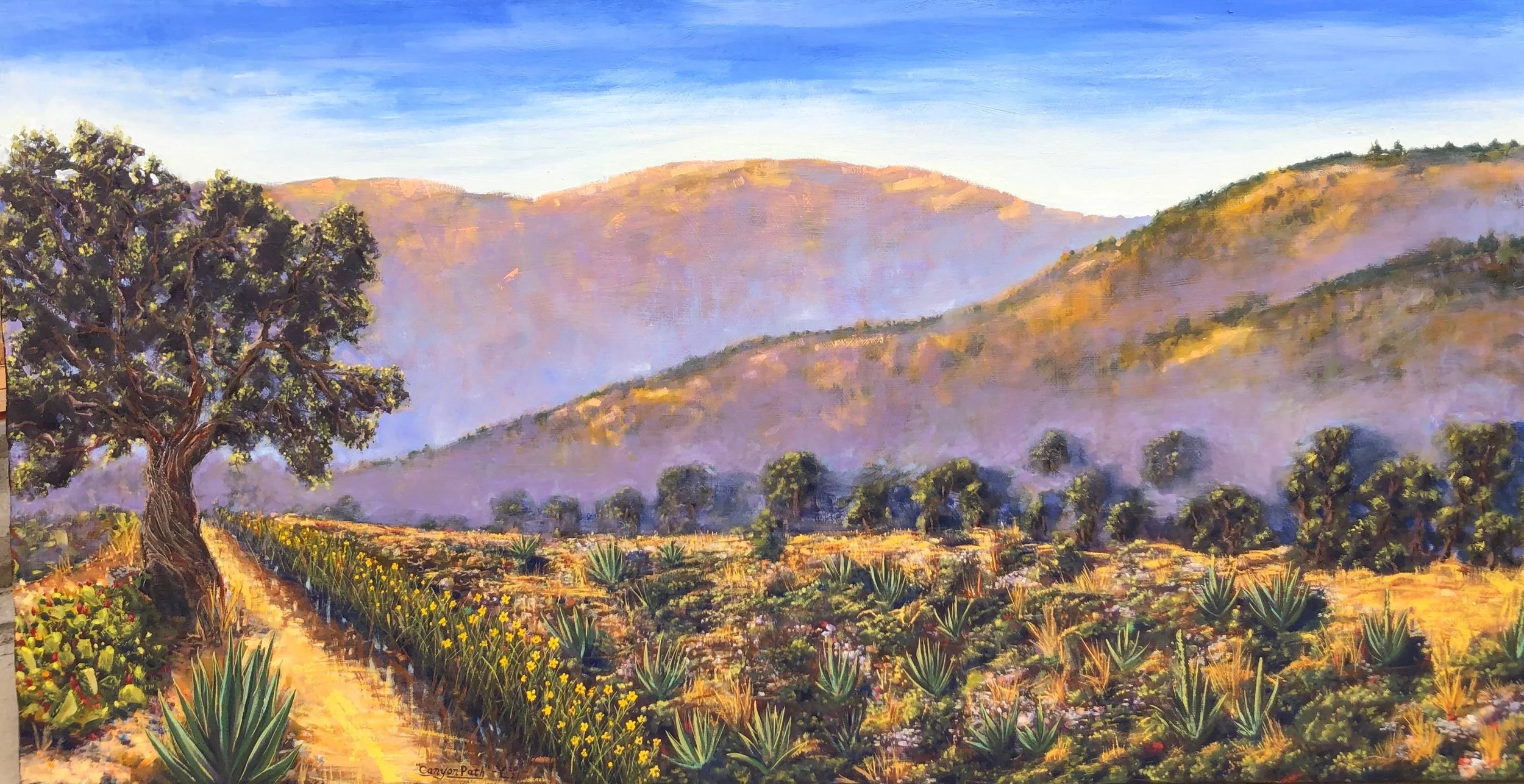 "Canyon View"