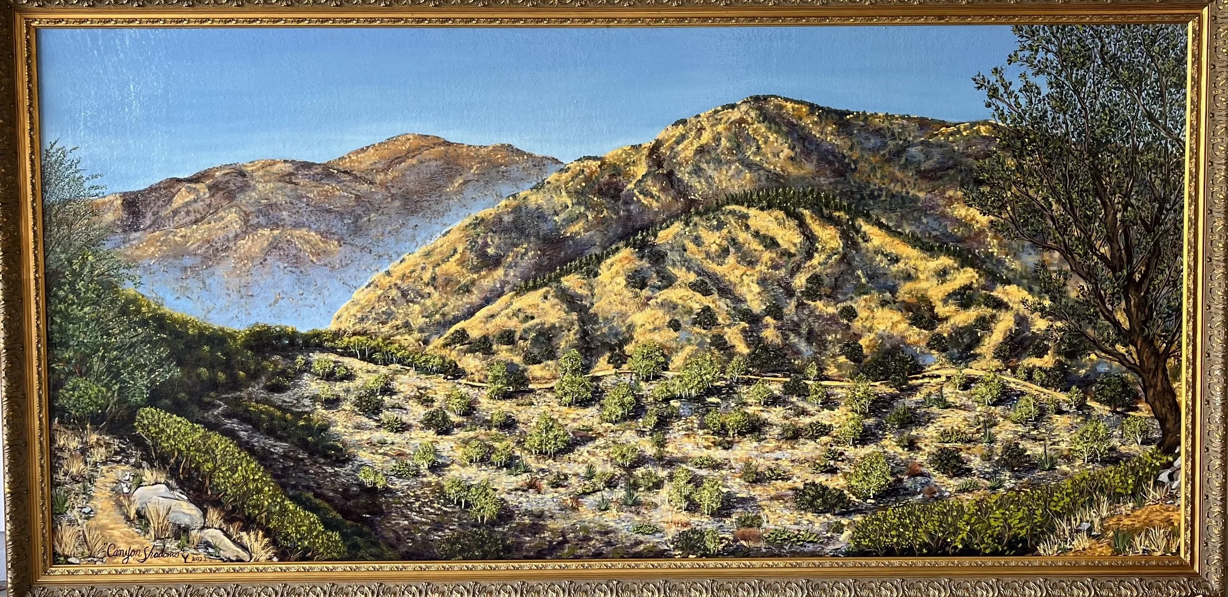"Canyon Shadows"