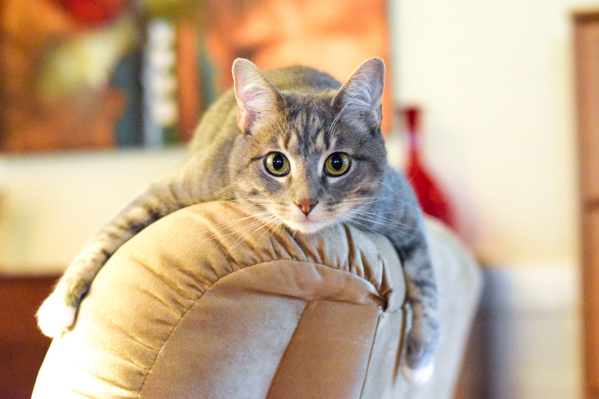 Zoe7.jpg