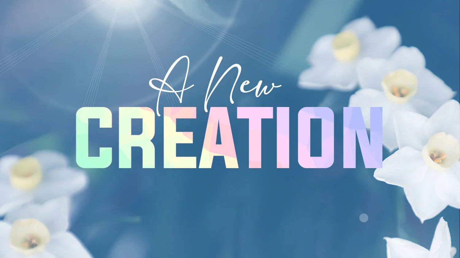 OTC - AnewCreation.jpg