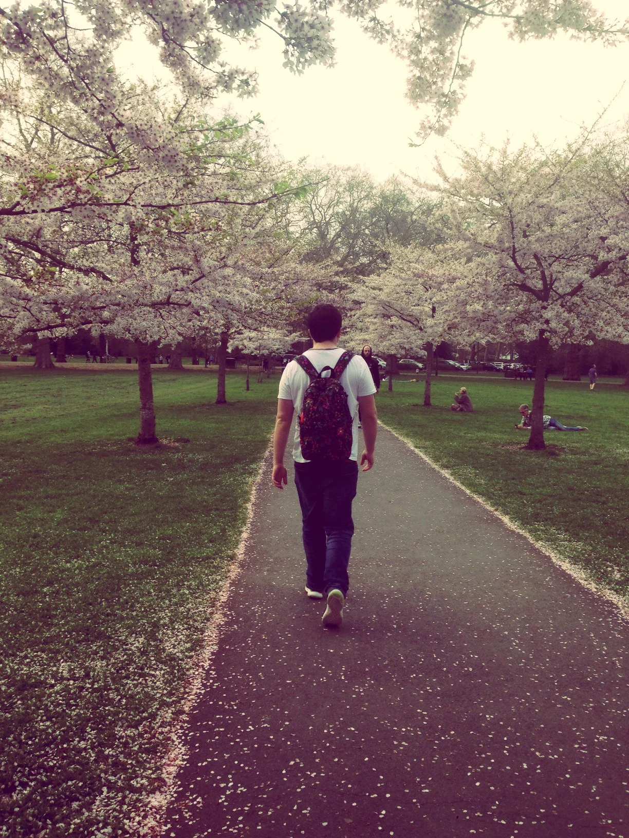 Young person on the road edited.jpg