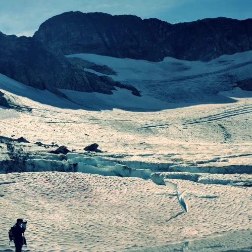 colonial glacier.jpg