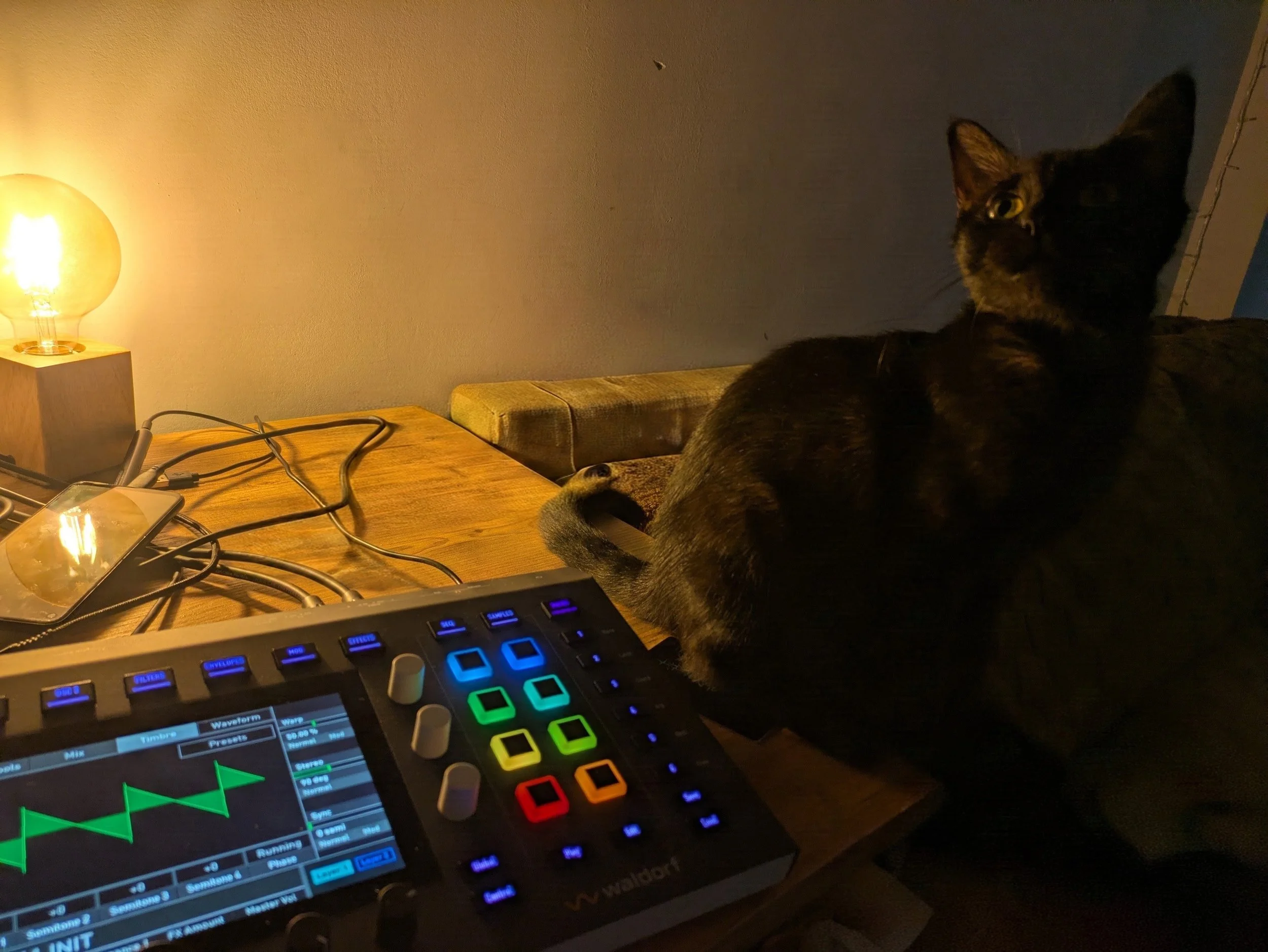 Waldorf Iridium Core, black cat, and moody industrial light