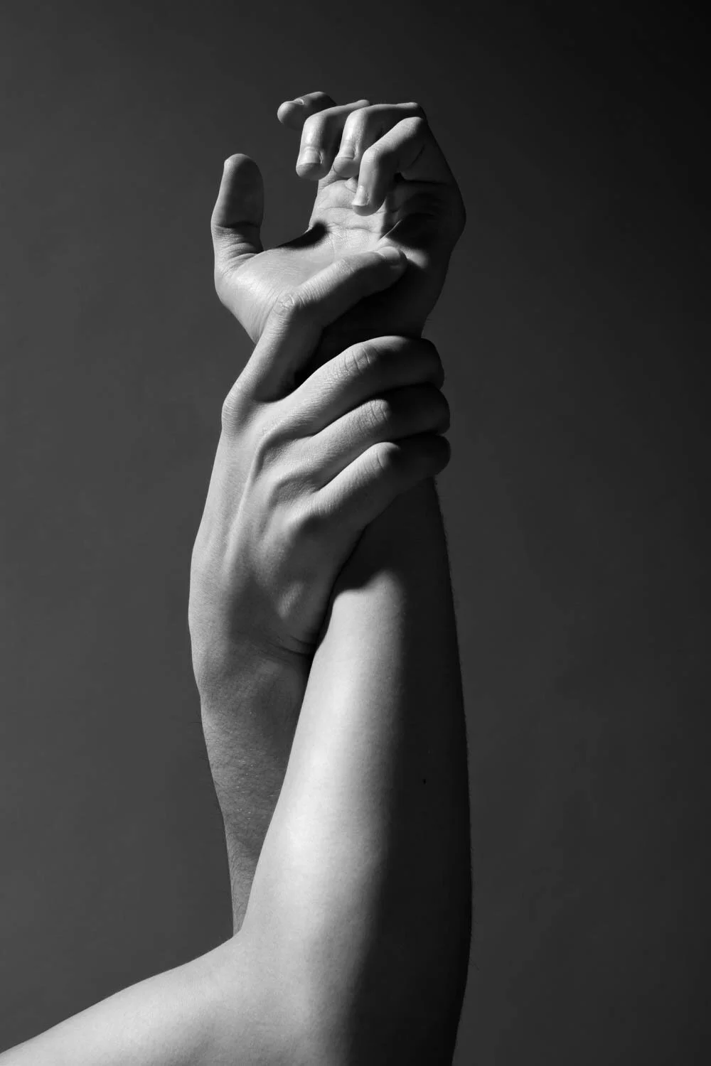 David Cook by Jesús Maza 1.jpg