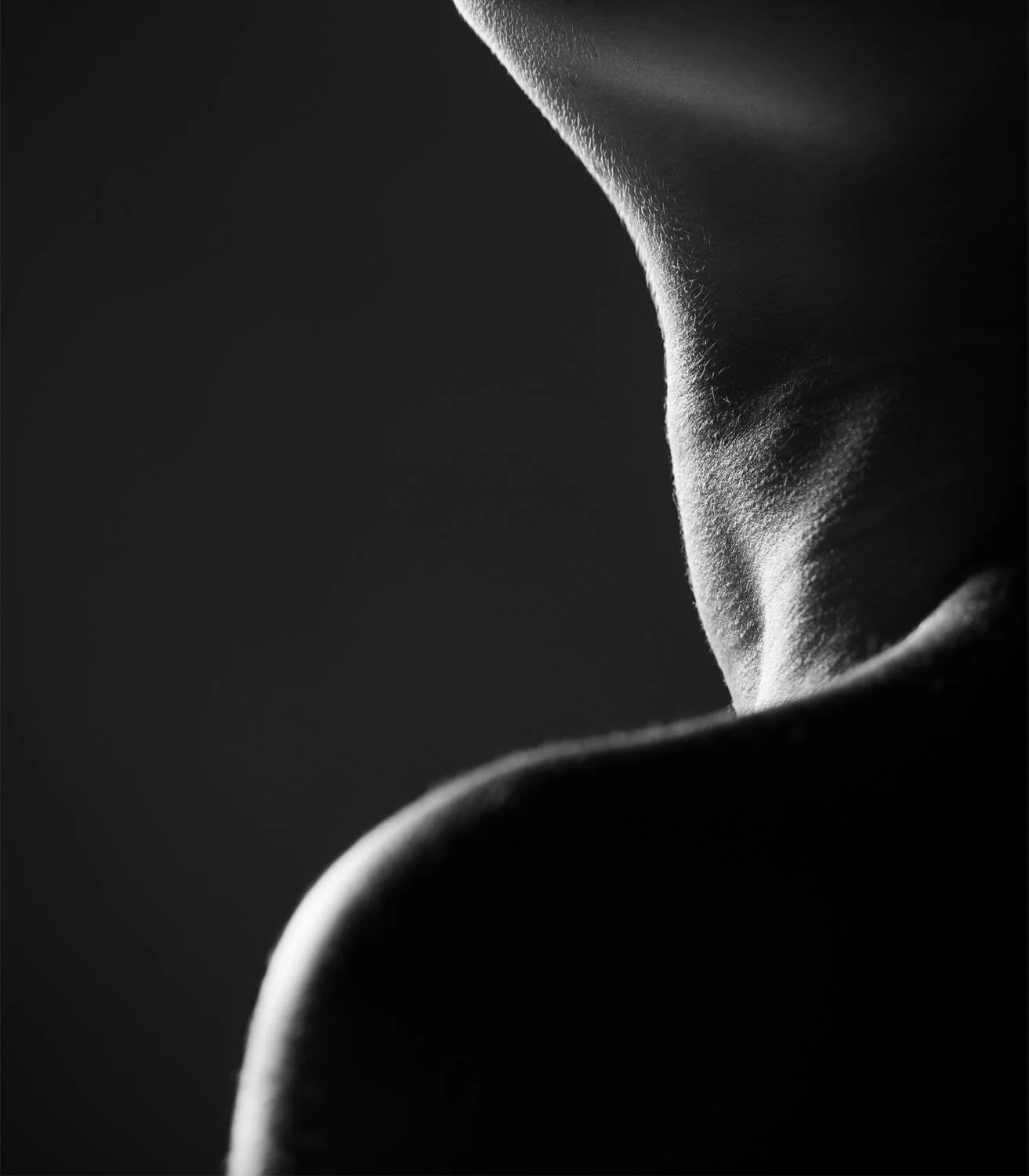 Lifted - Jesús Maza.jpg