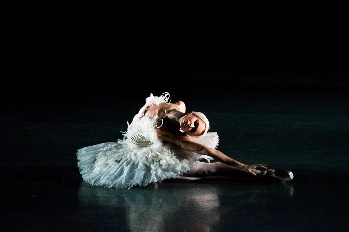 BFTA2016 by Jesús Maza for Kyle Kofsky_152.jpg