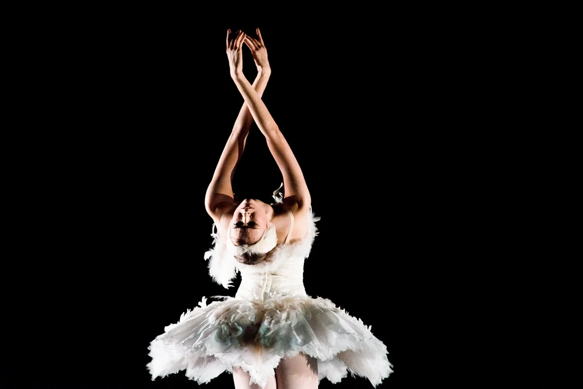 BFTA2016 by Jesús Maza for Kyle Kofsky_153.jpg