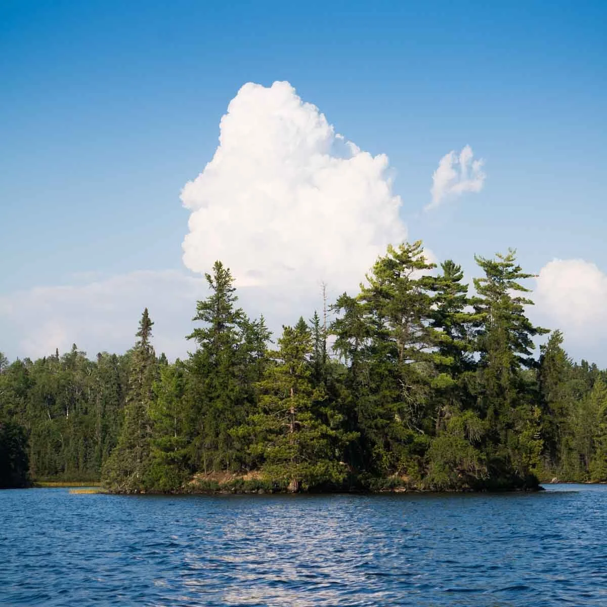 Canoe Canada Outfitters Atikokan by Jesús Maza_051.jpg