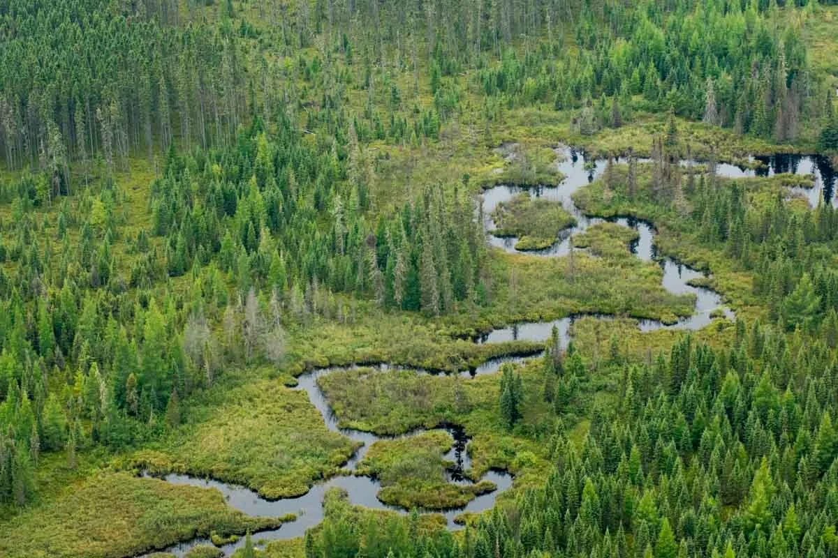 Canoe Canada Outfitters Atikokan by Jesús Maza_066.jpg