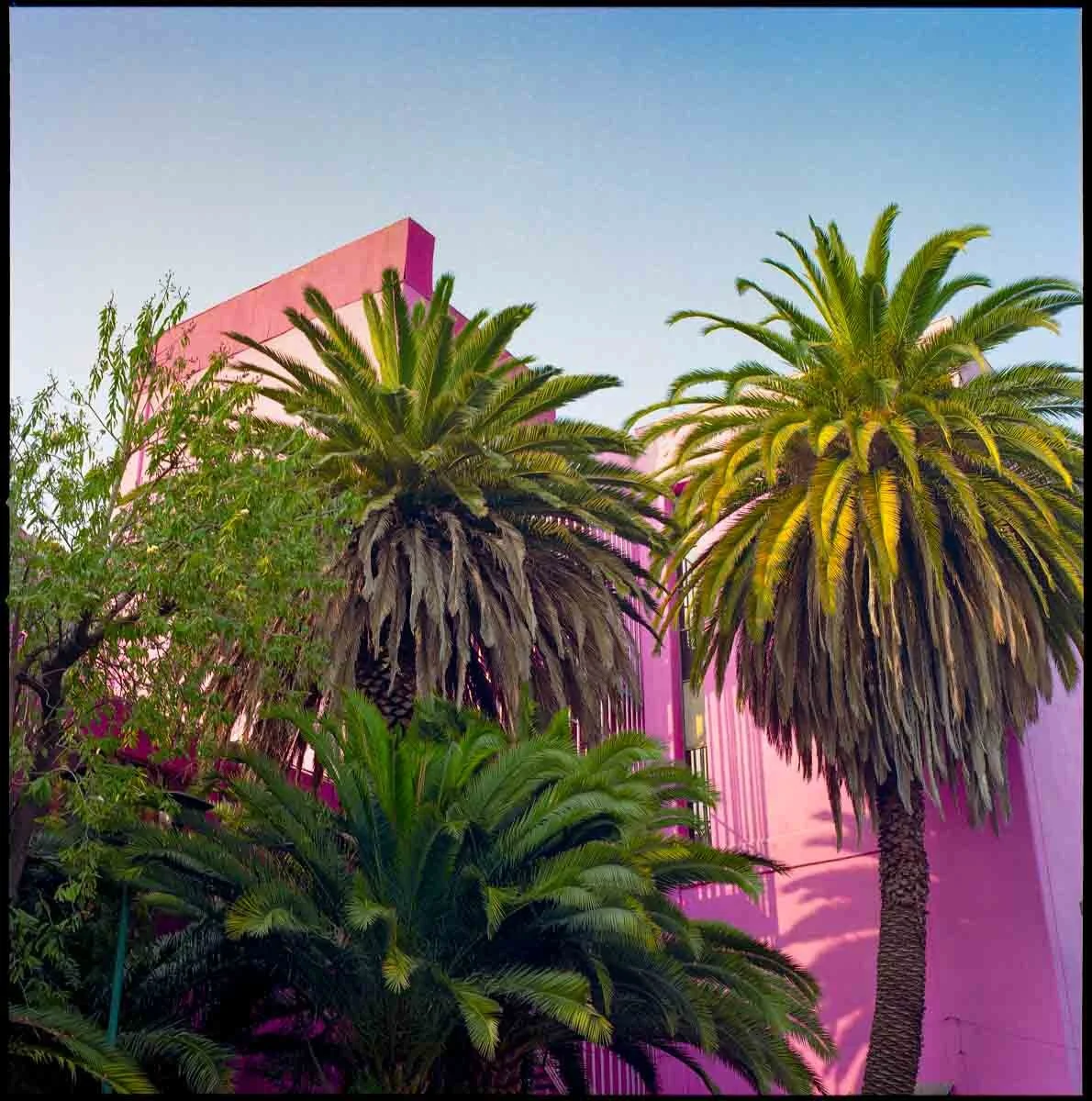 Mexico City, Xochimilco y Teotihuacan by Jesús Maza_013.jpg