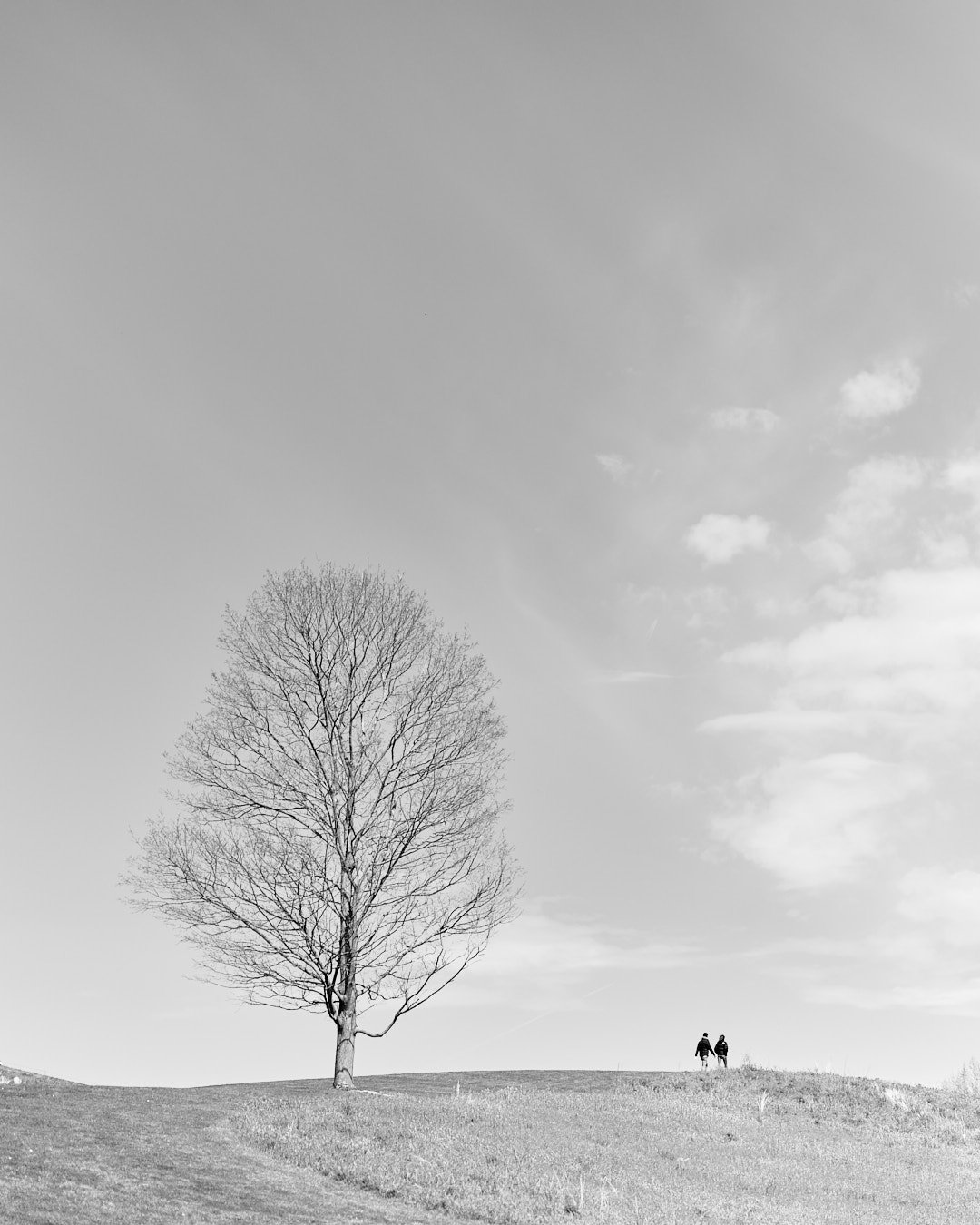EEC18001-F021-44C0-8515-CA1918FD788B.jpeg