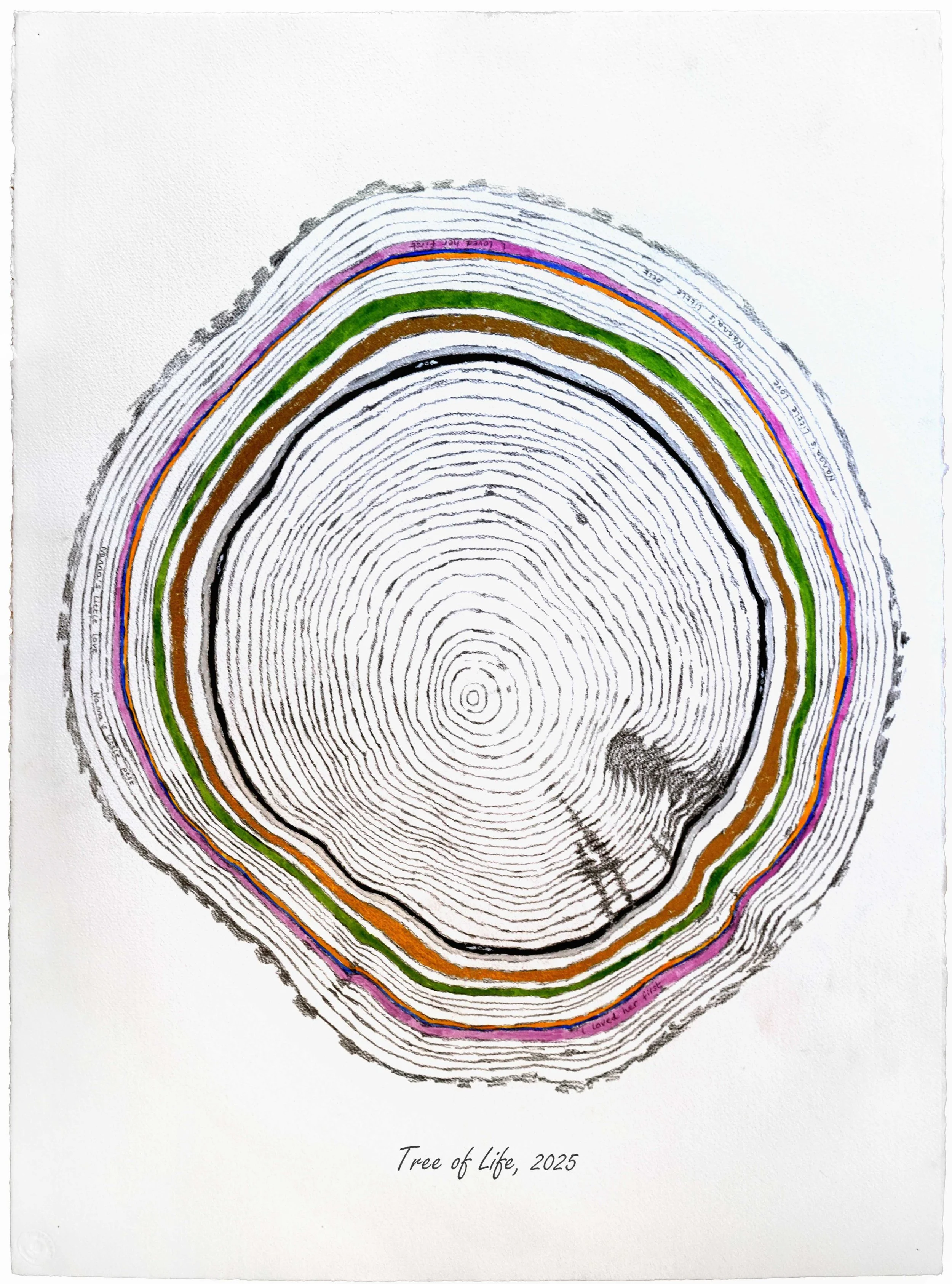 TreeOfLife_2024_AndyFarr.jpg