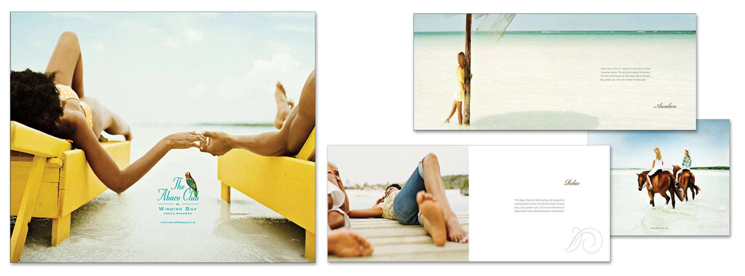 Ritz Carlton Coffee Table book~2.jpg