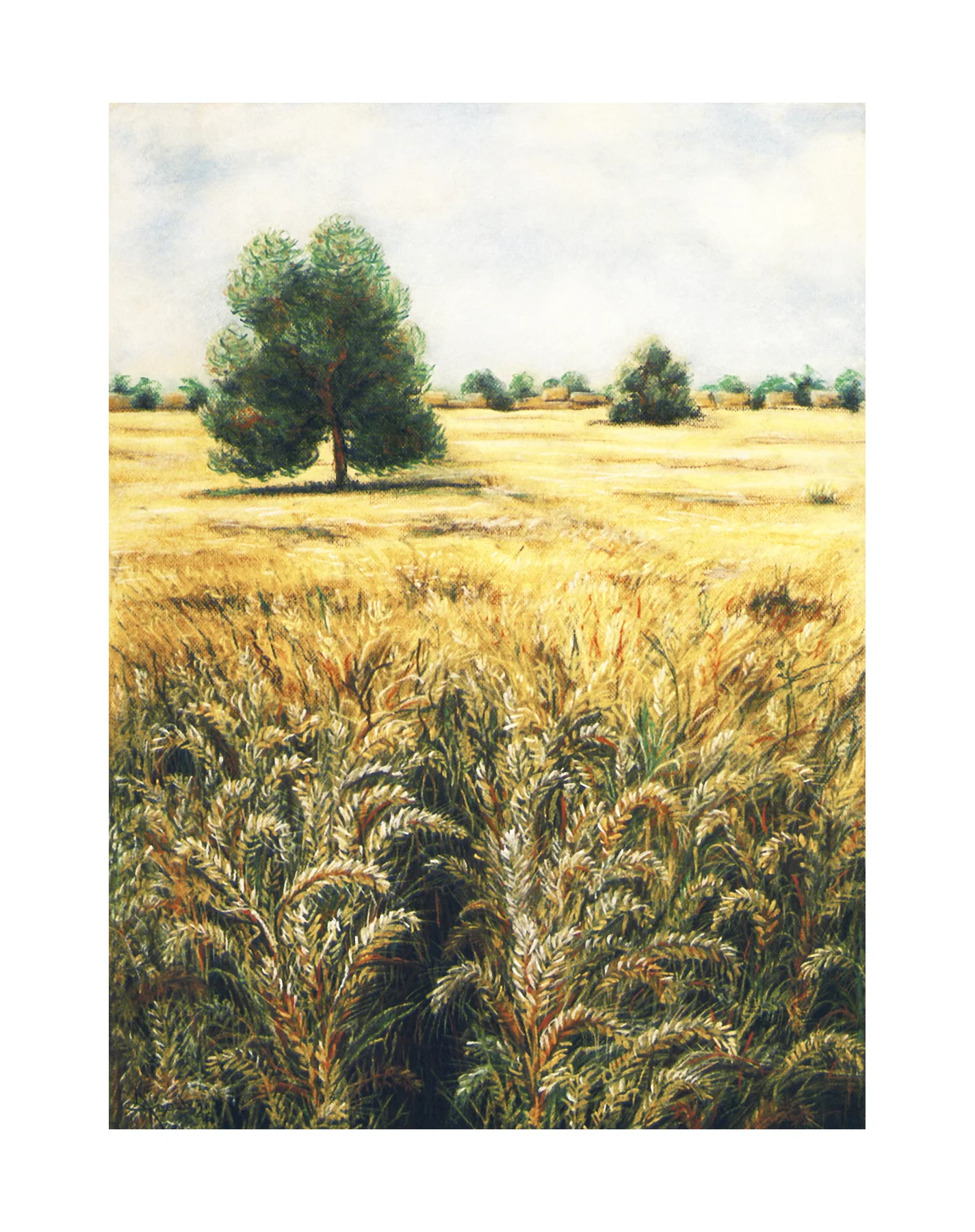 wheat~21x29.jpg