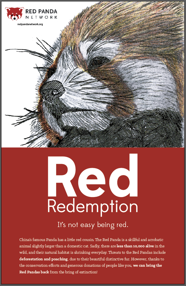 red-panda-poster-hand-drawn-illustration.PNG